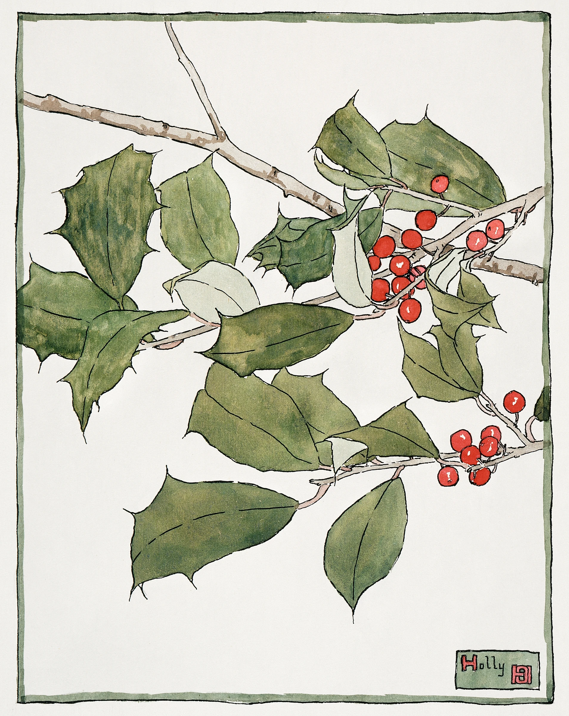 fruitss (20)