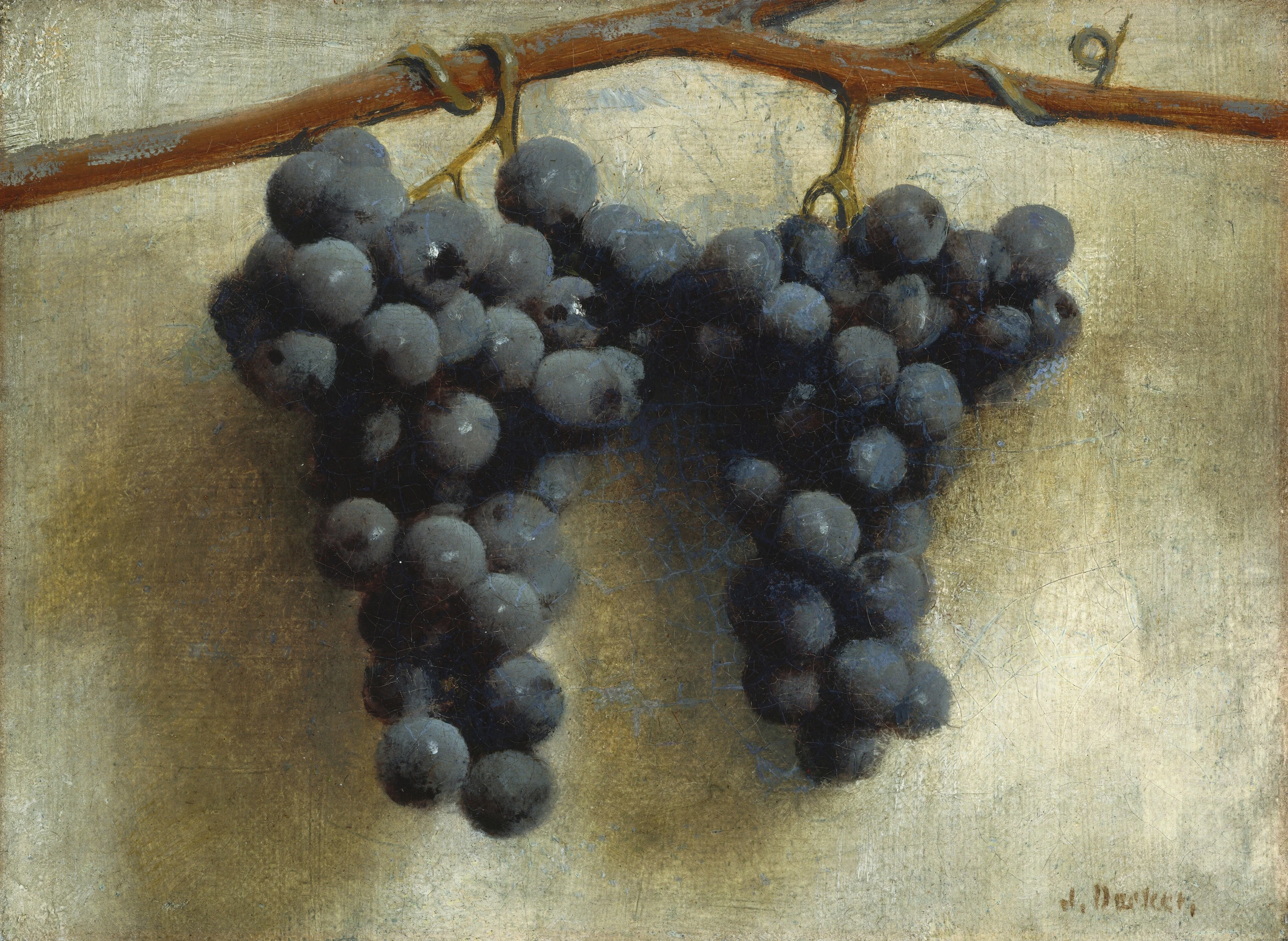 Grapes 1994.59.3