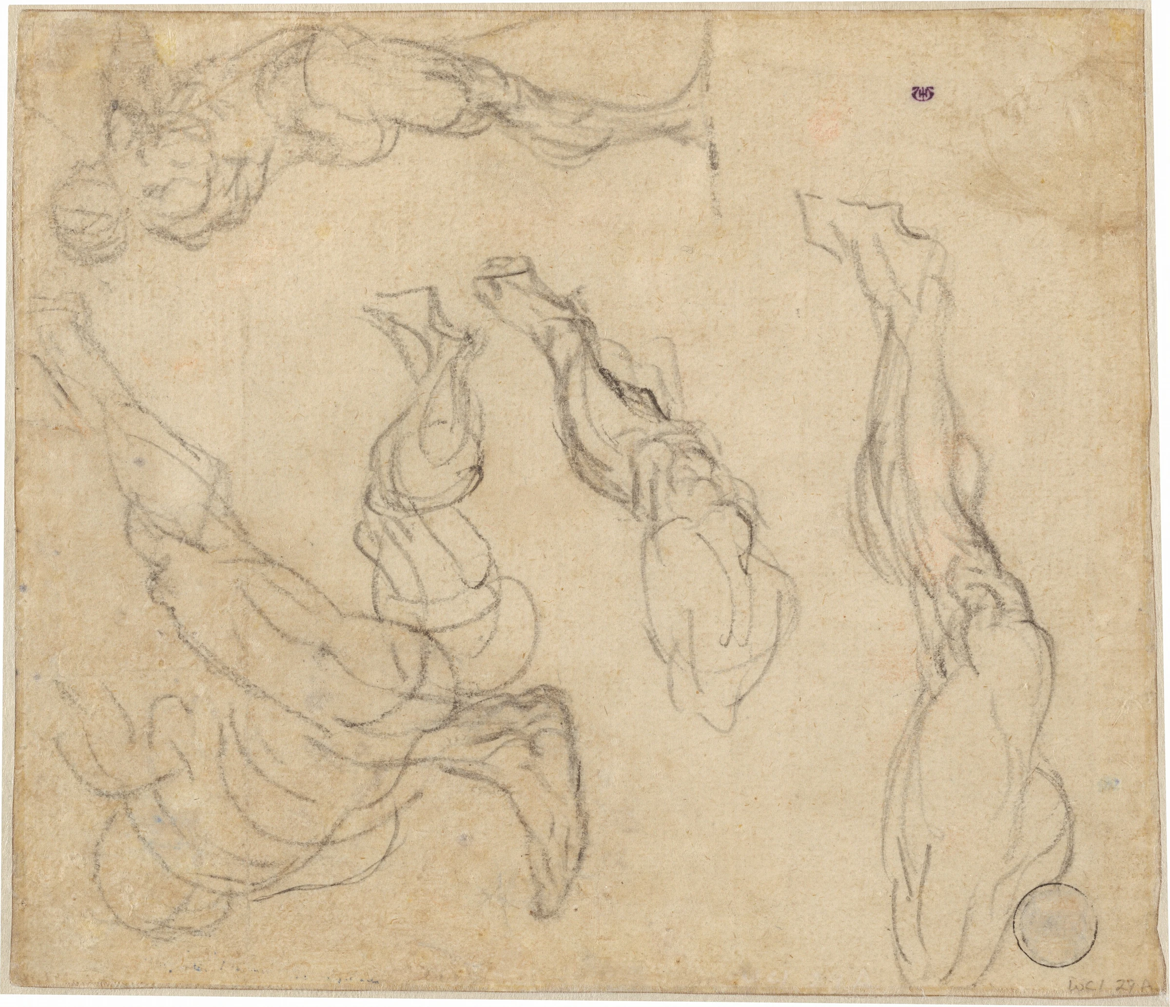 head of a boy (verso) 2006.11.25.b