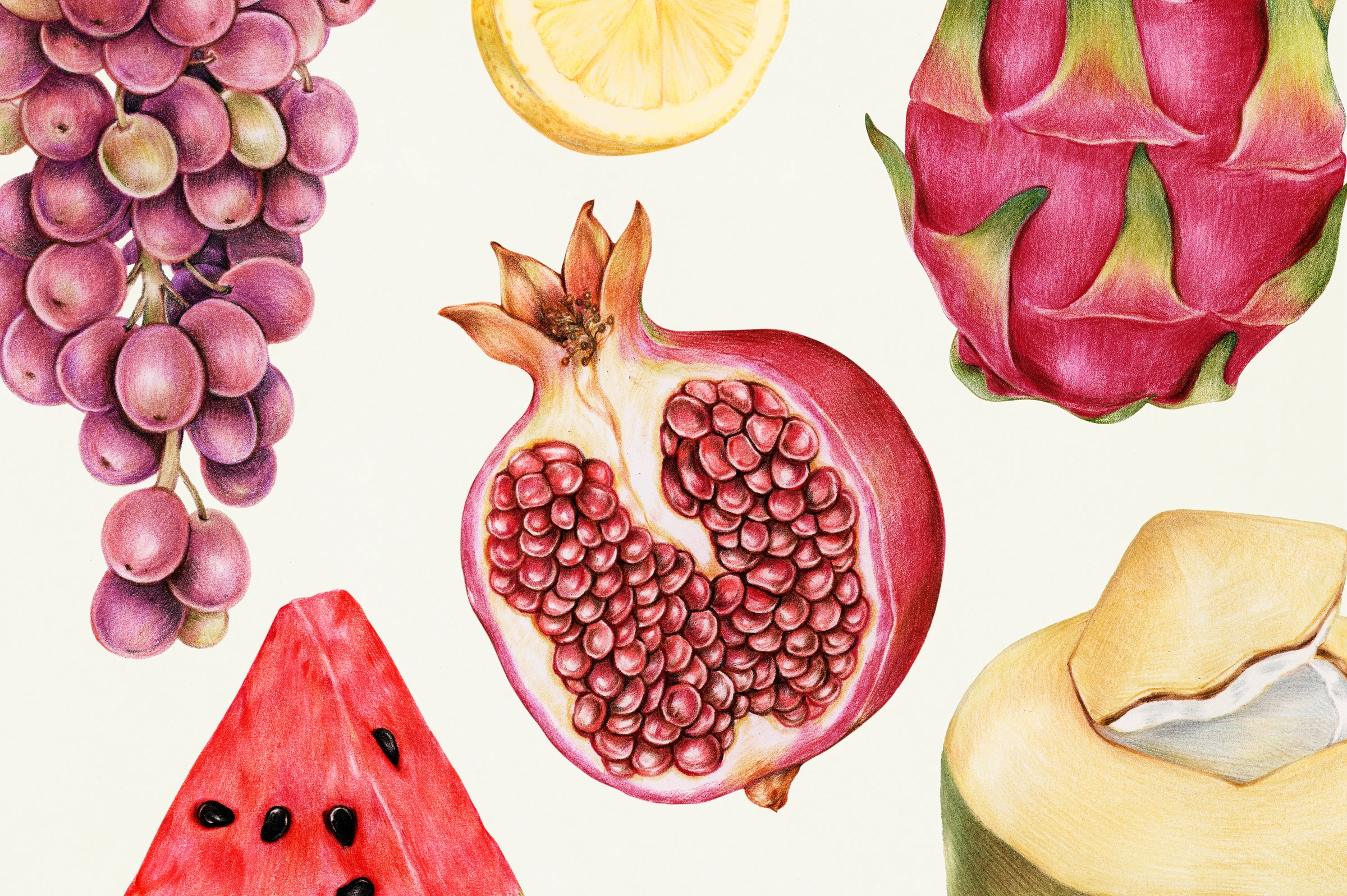 fruitss (146)