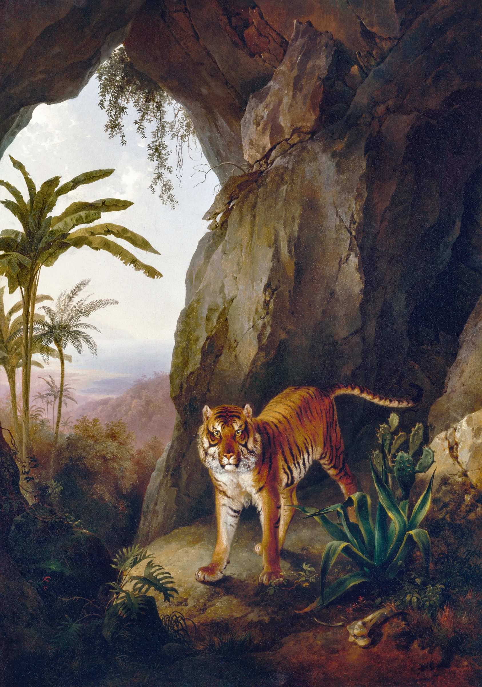 animals (26)