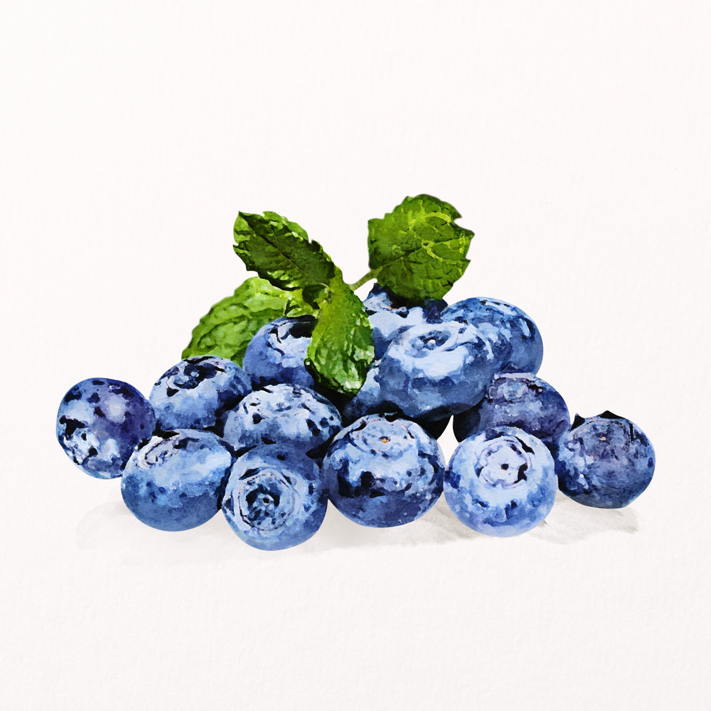 fruitss (105)