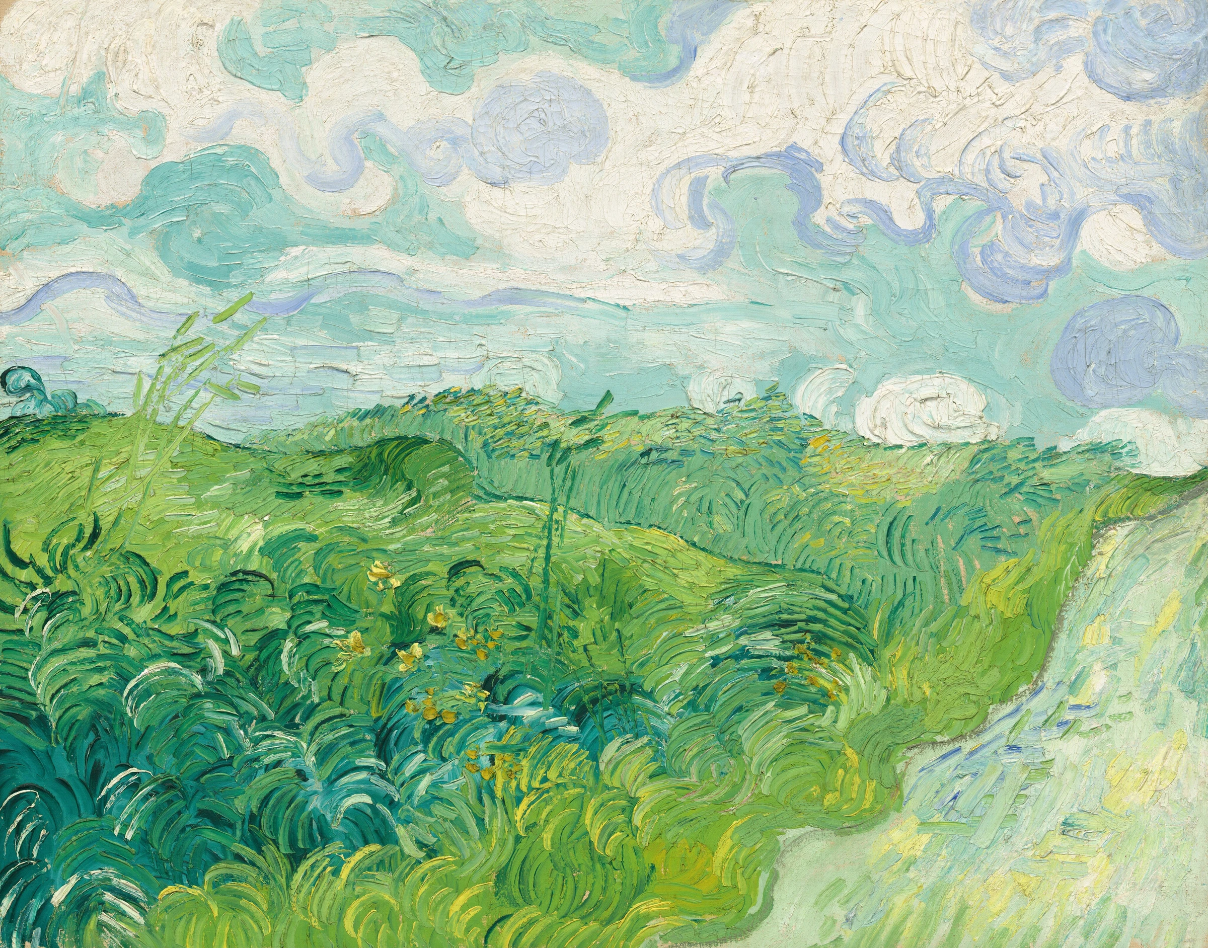 Green Wheat Fields, Auvers 2013.122.1