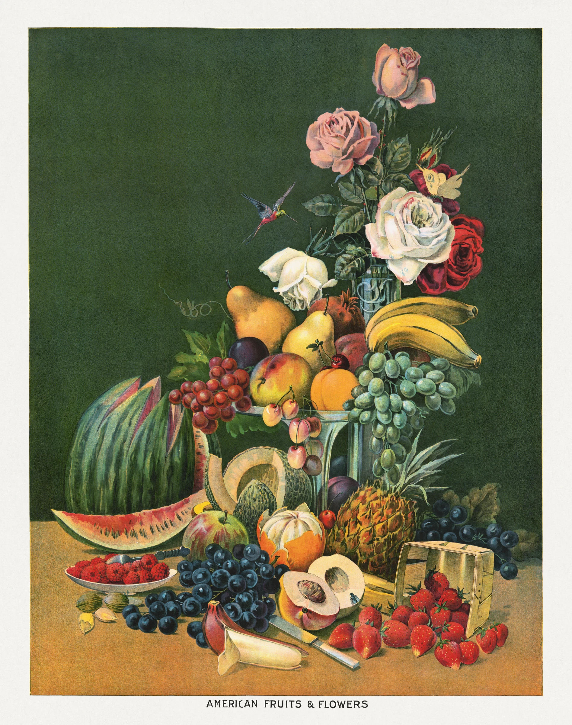 fruitss (171)