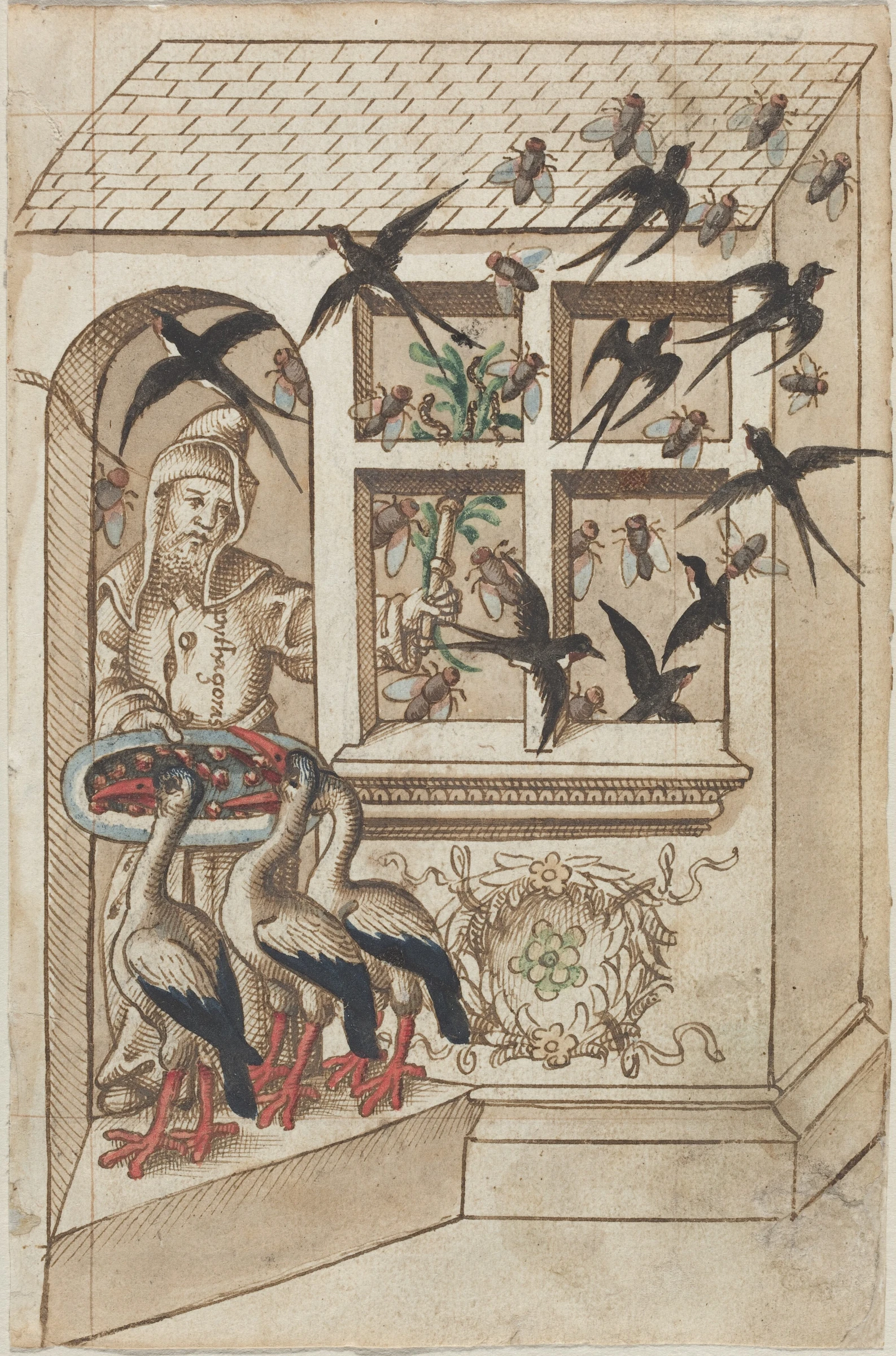 do not have swallows under the same roof fol. 40 recto 2006.11.43