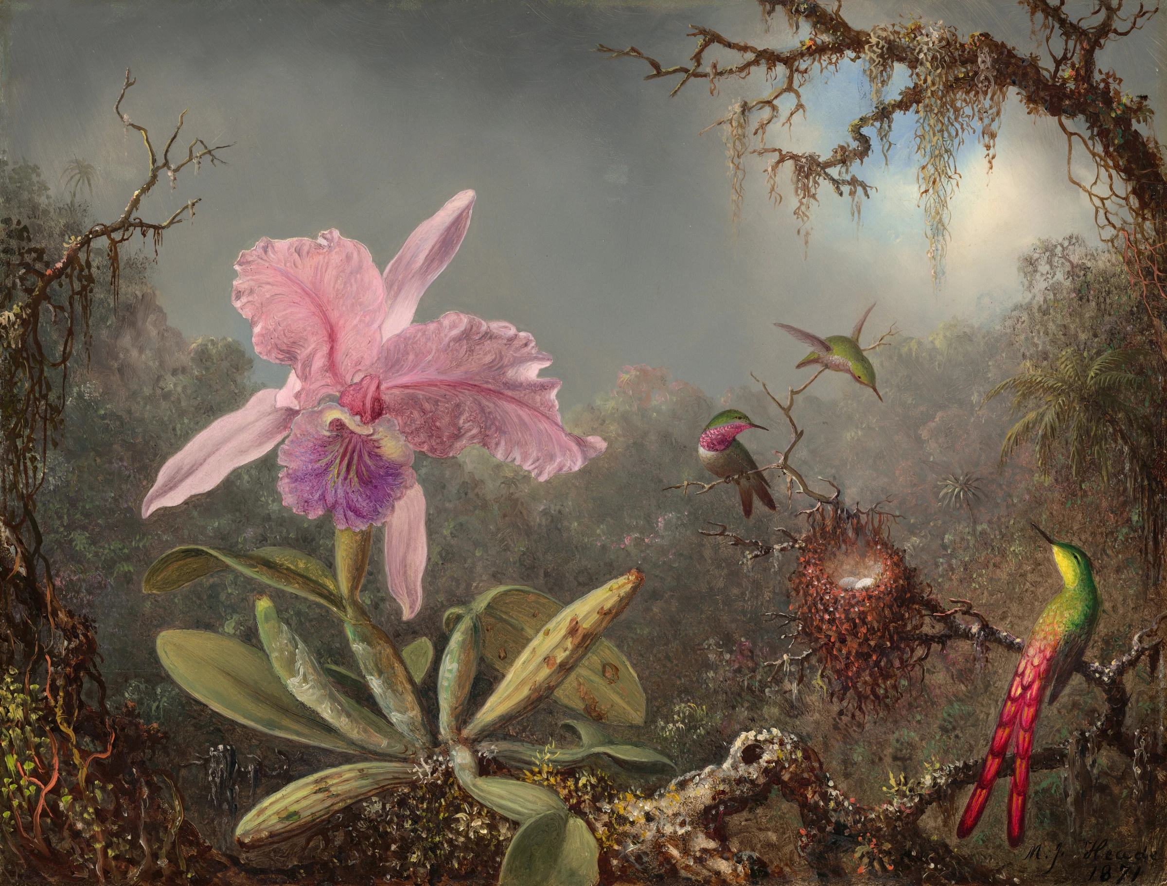 Cattleya Orchid And Three Hummingbirds 1982.73.1