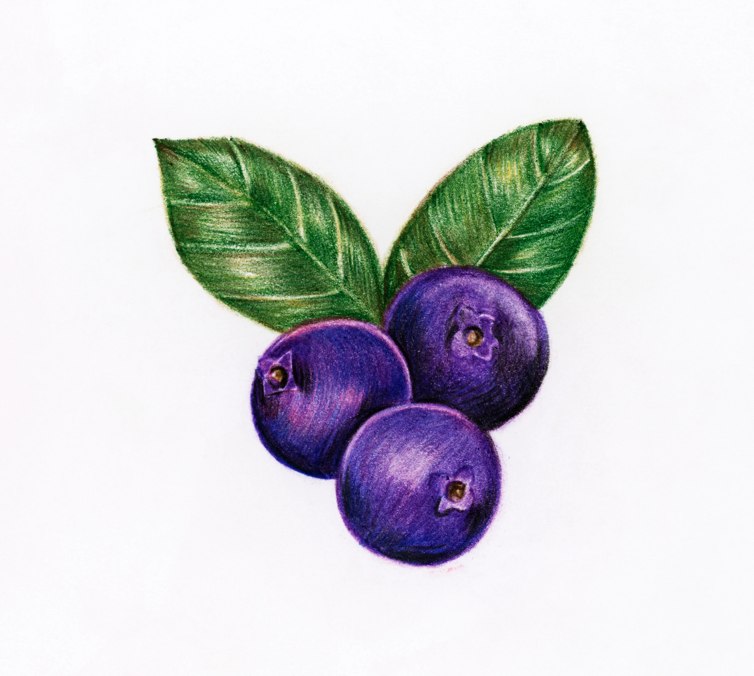 fruits477