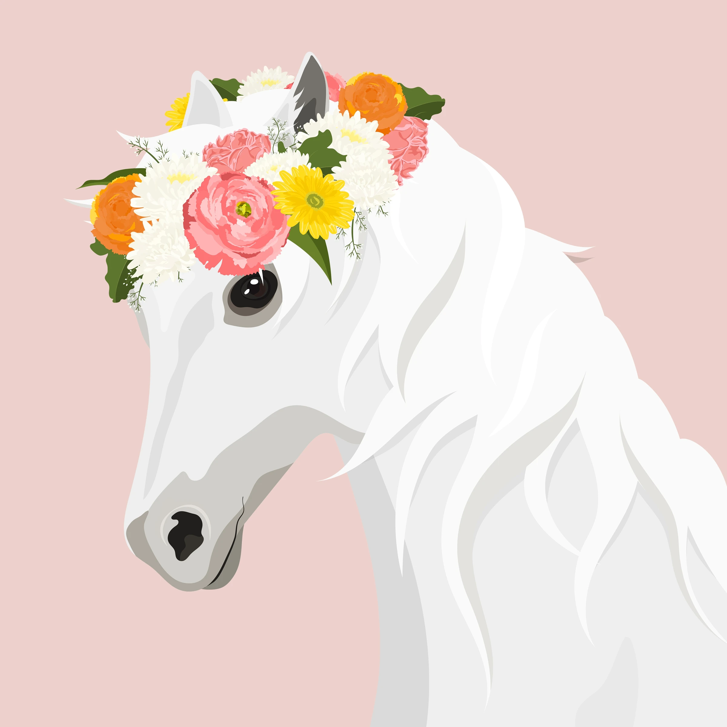 aanimals112