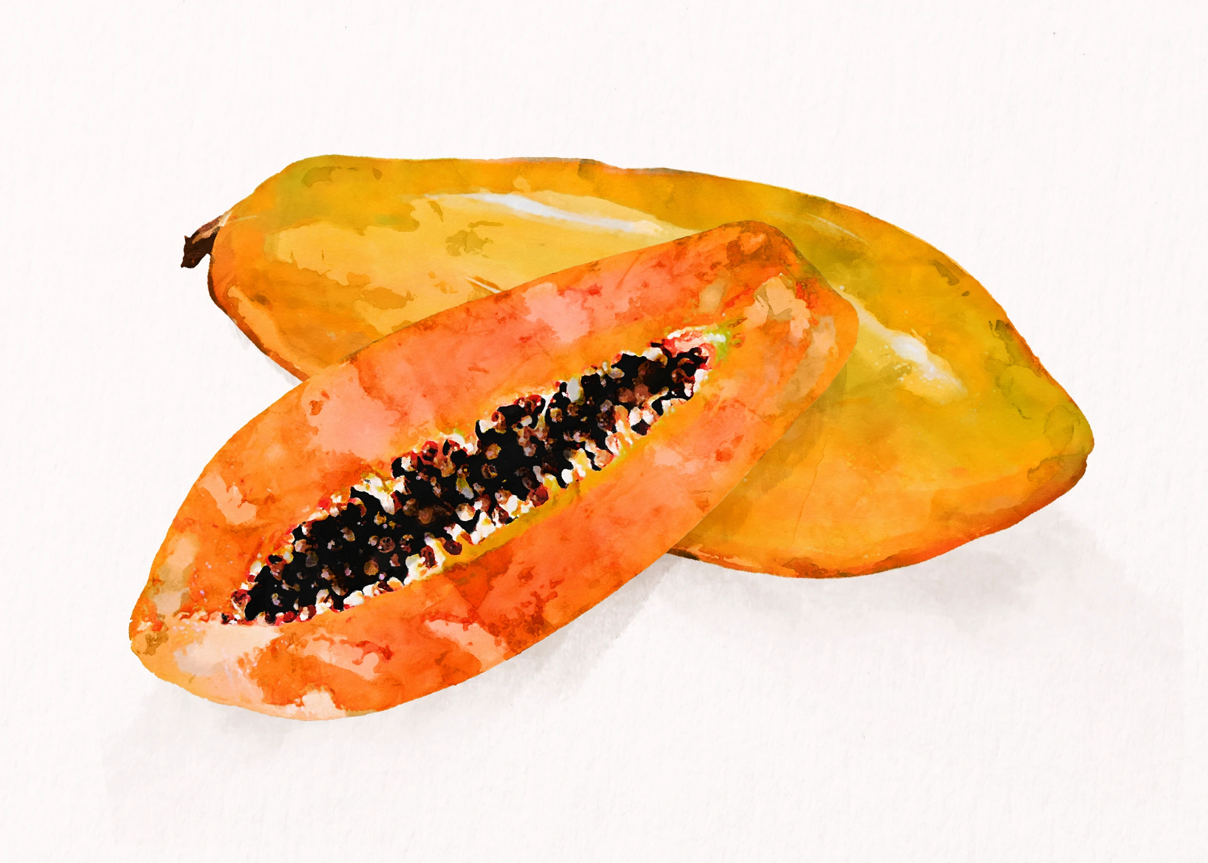 fruitss (118)