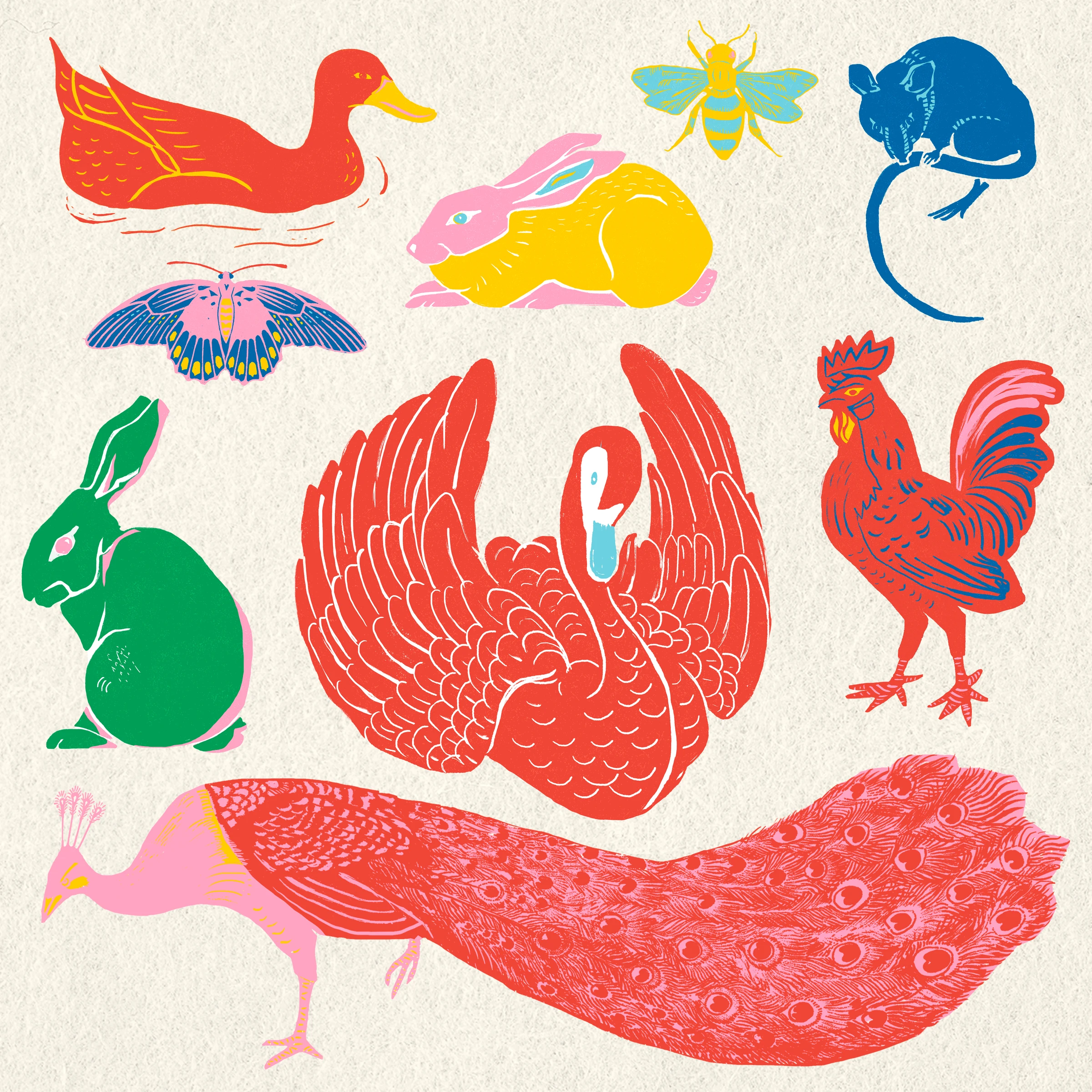 animals (13)