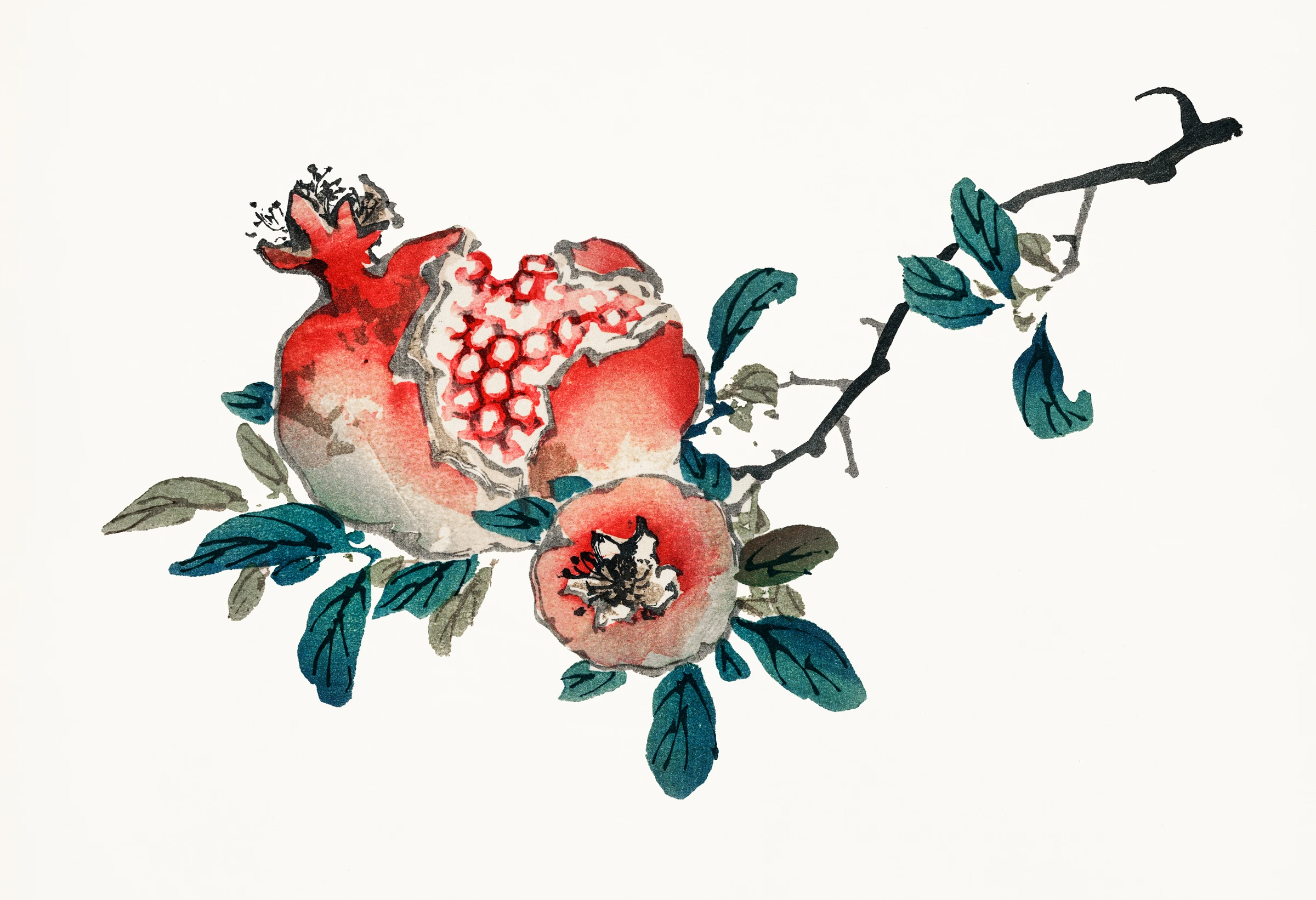 fruits465