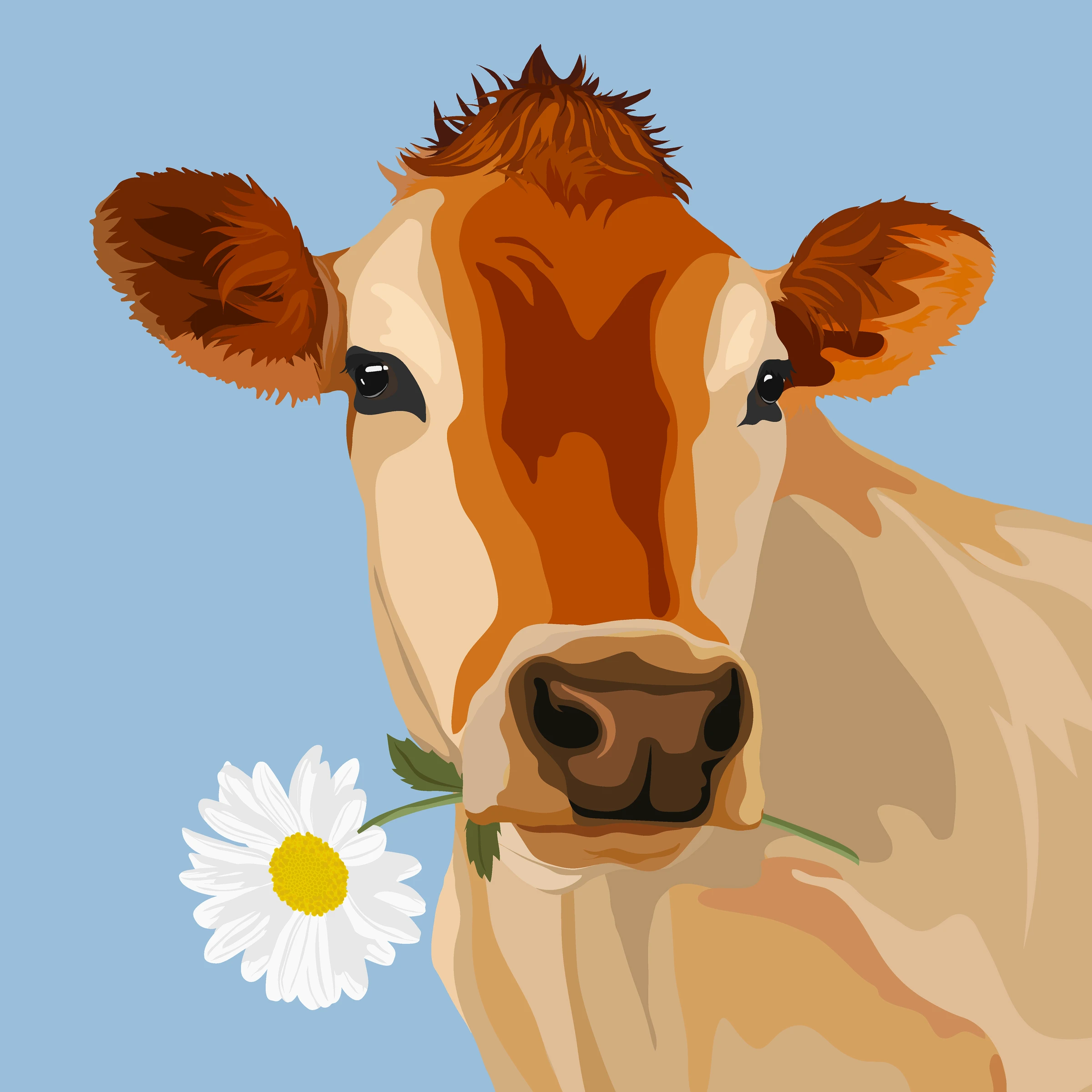 aanimals121