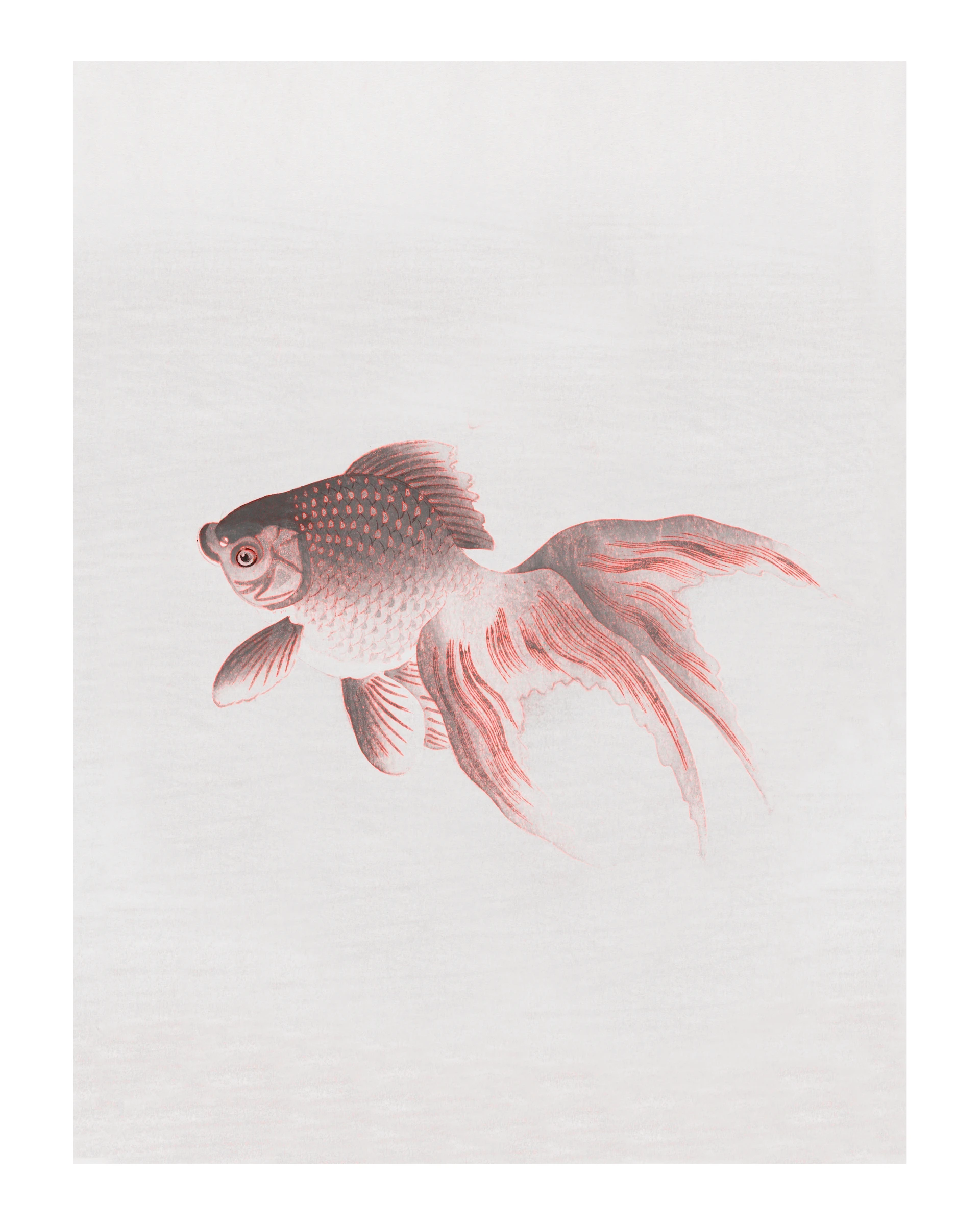 animals (329)