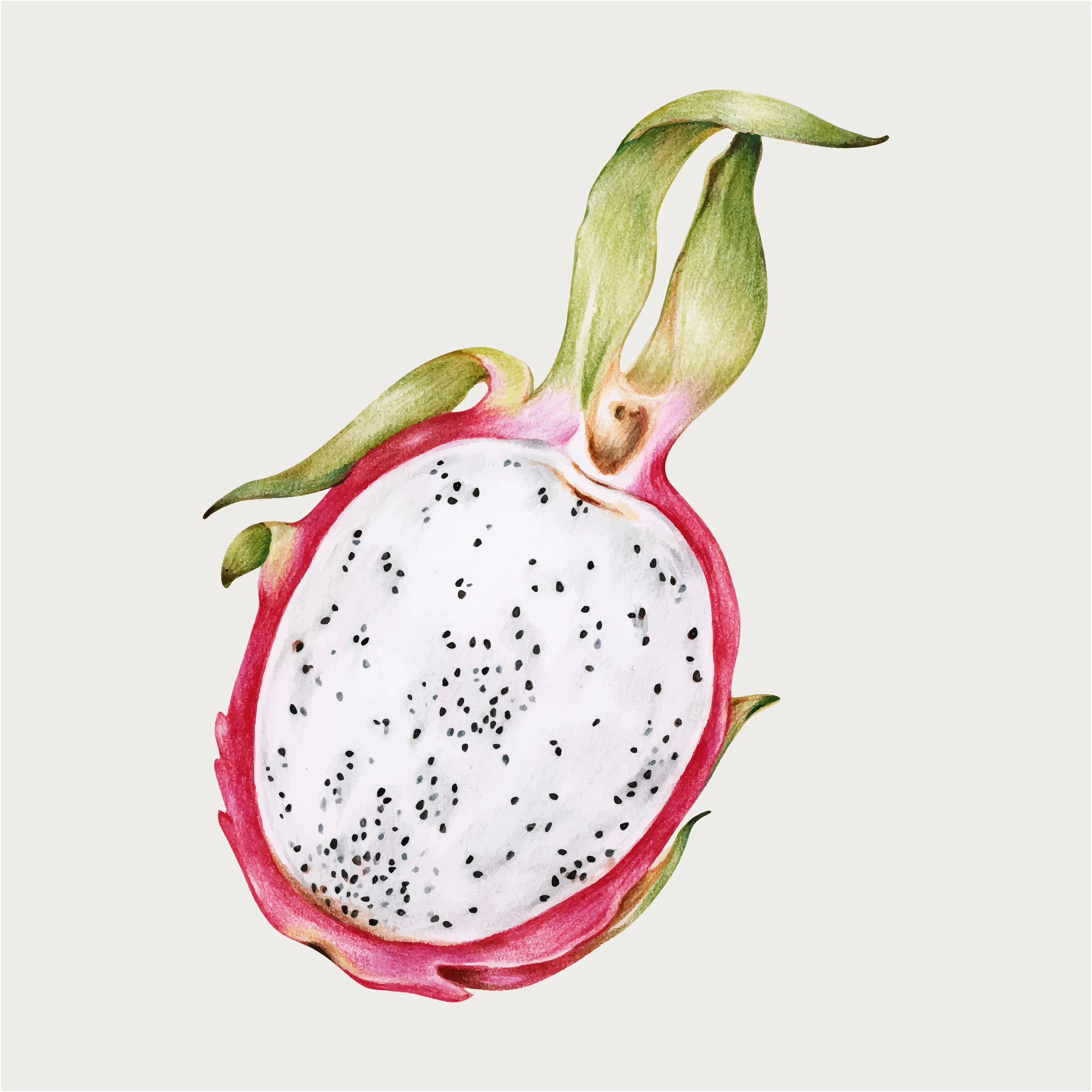 fruits476
