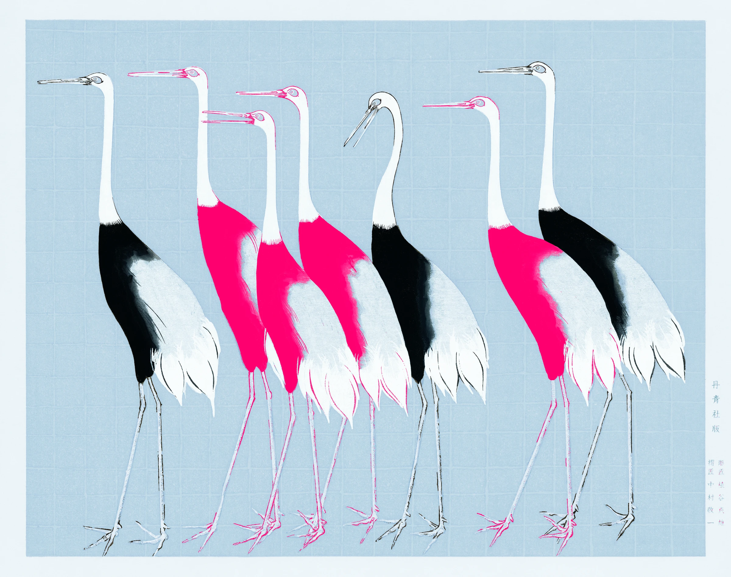 animals (324)