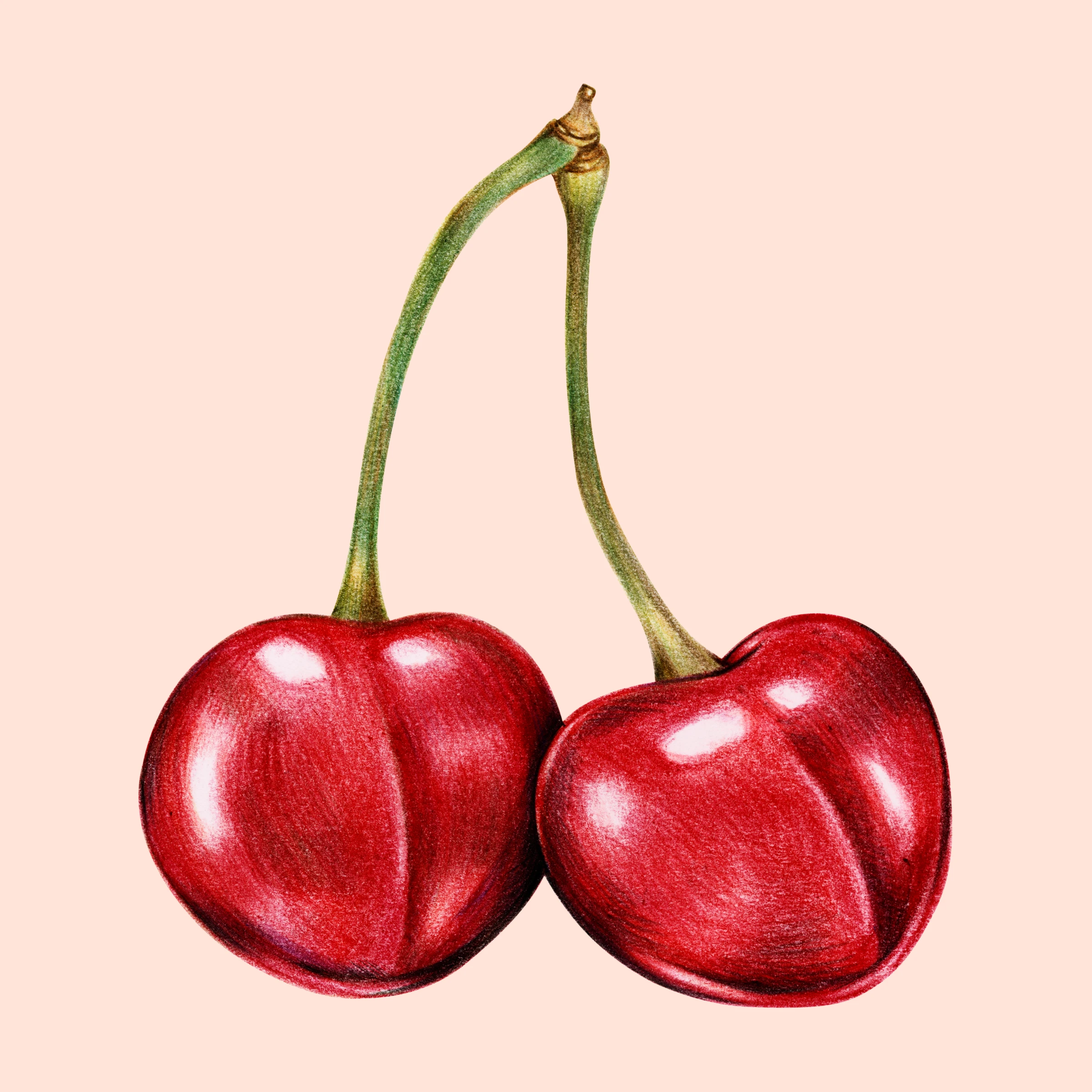 fruitss (202)