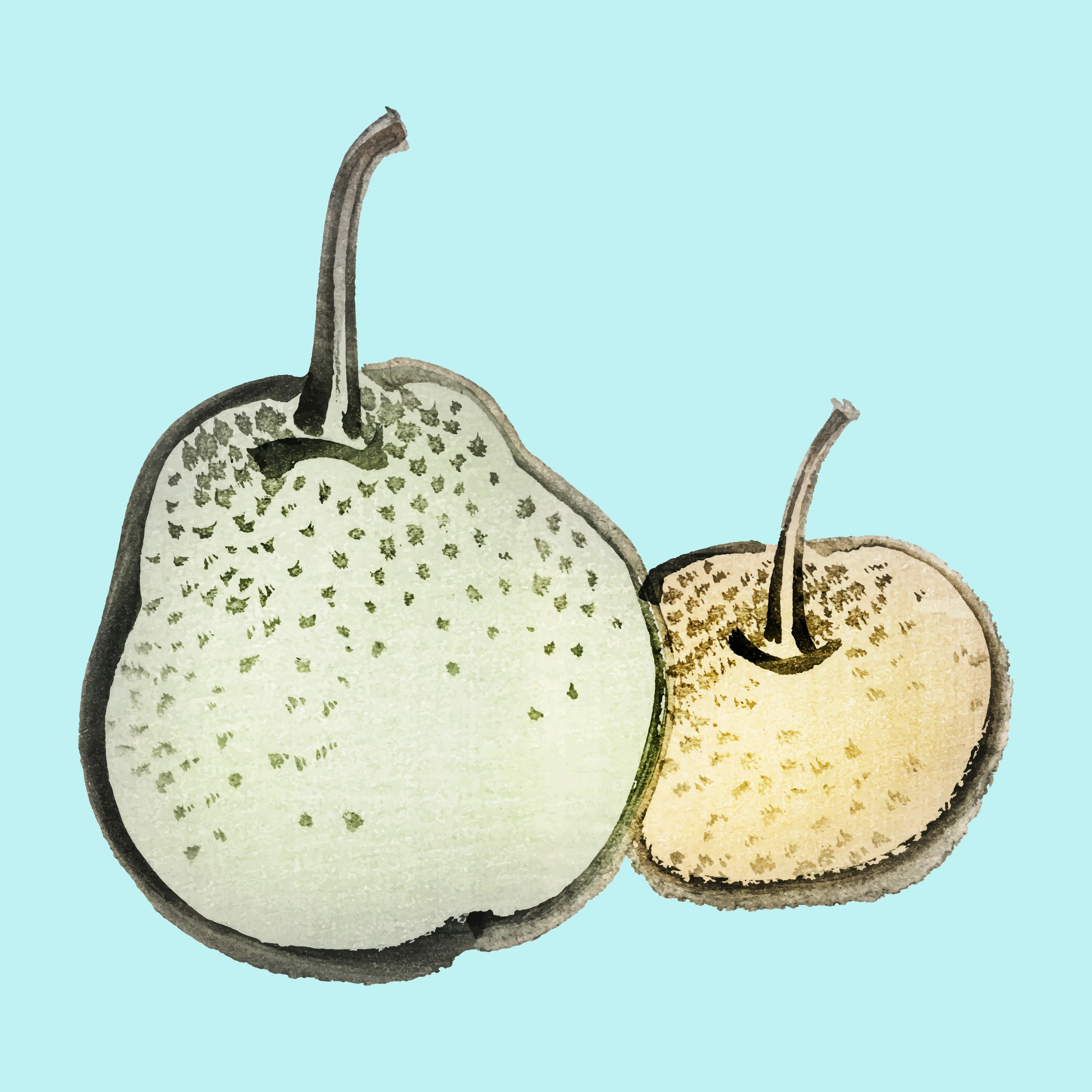fruits463