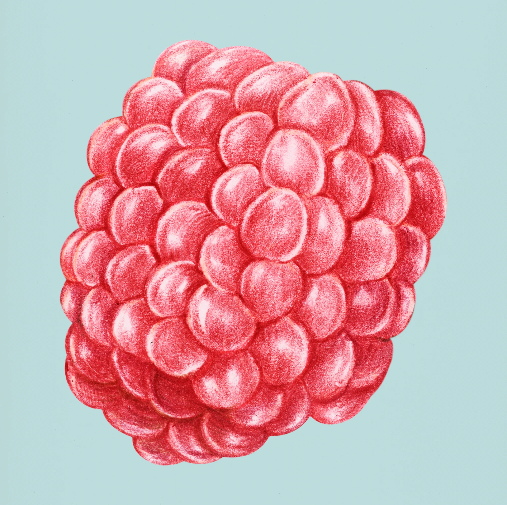 fruitss (211)