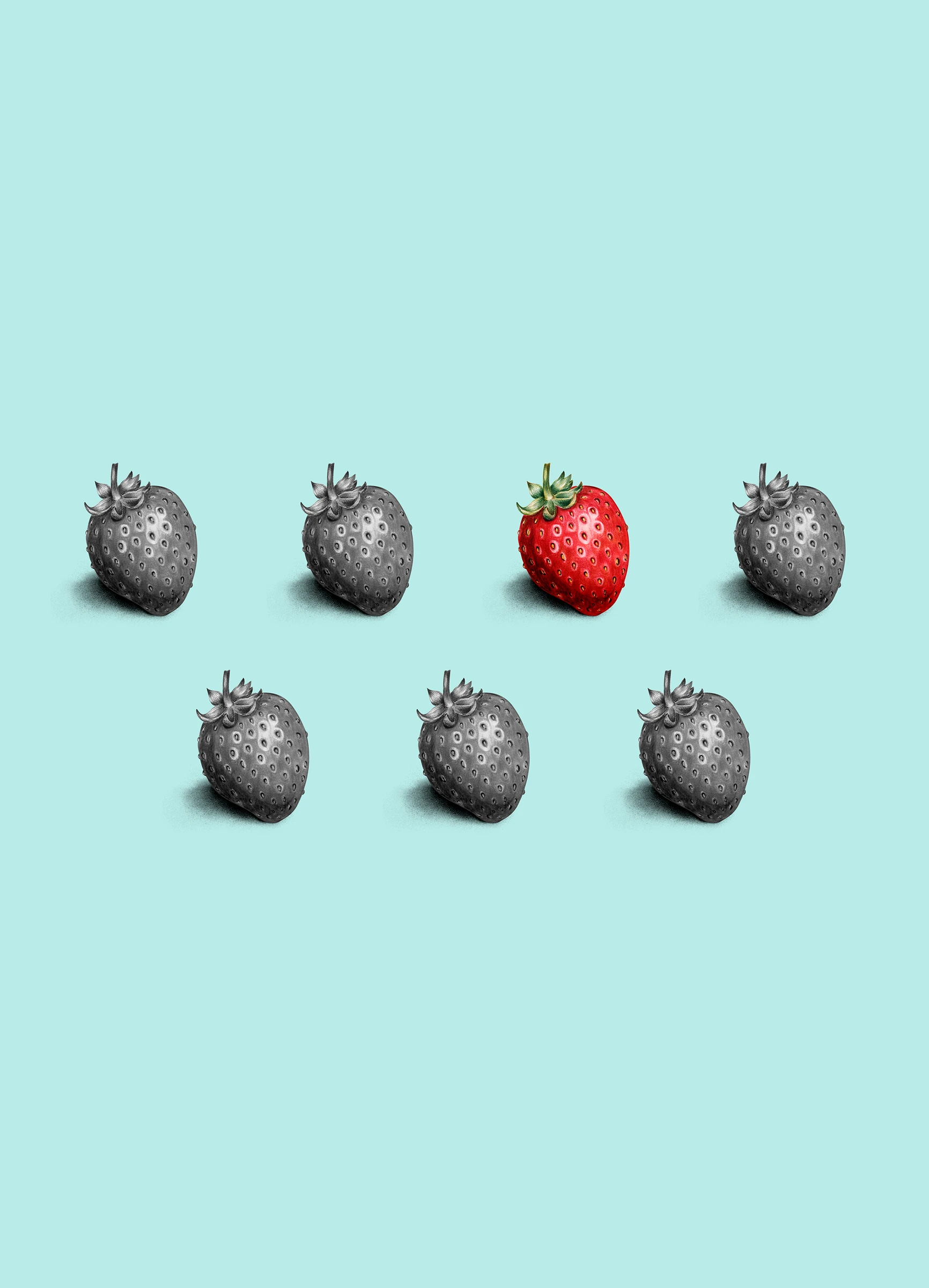 fruits485