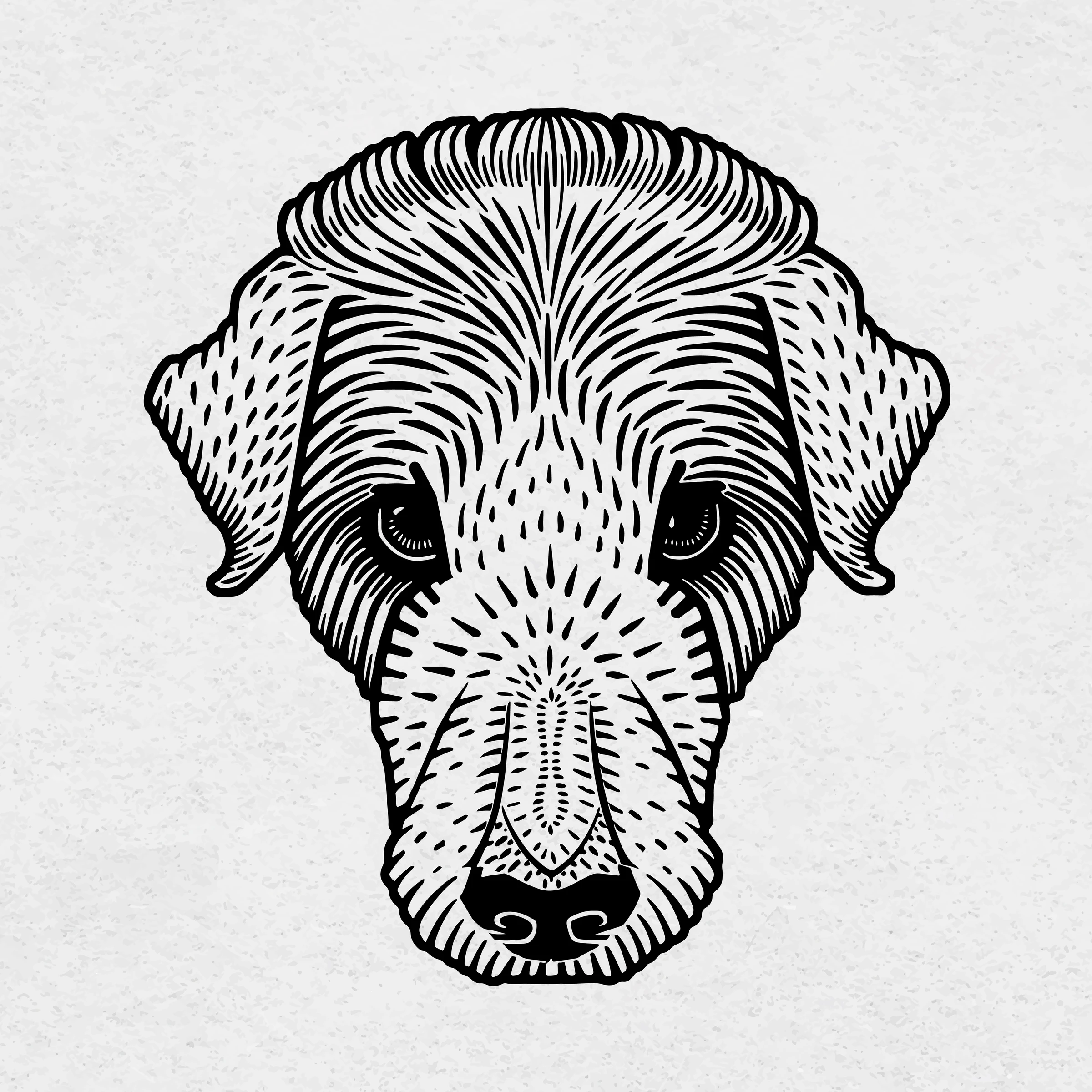 animals (353)