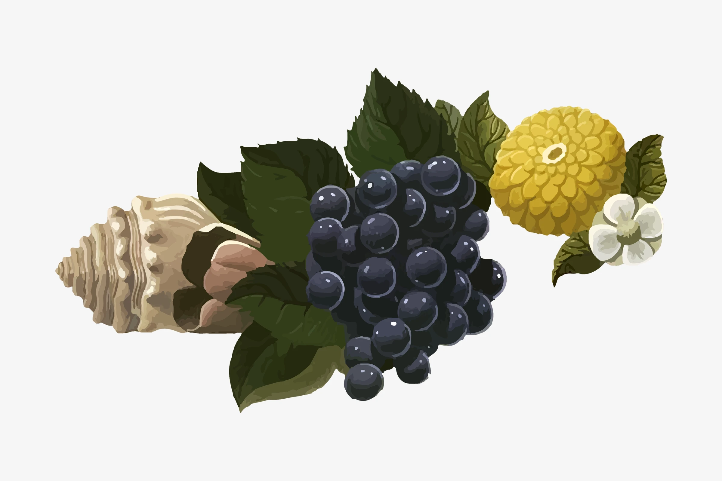 fruitss (177)