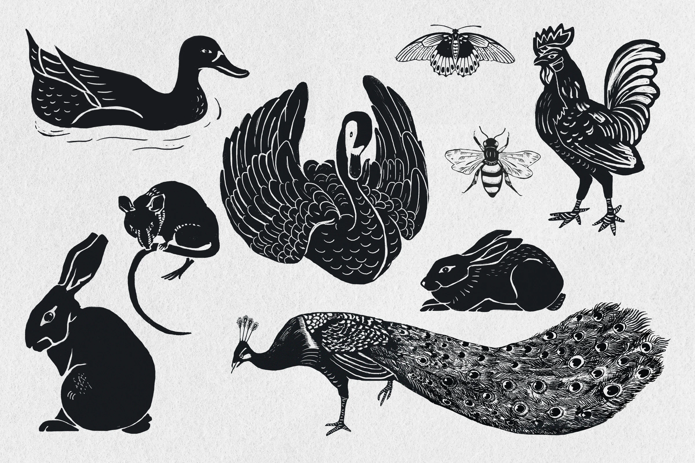 animals (12)