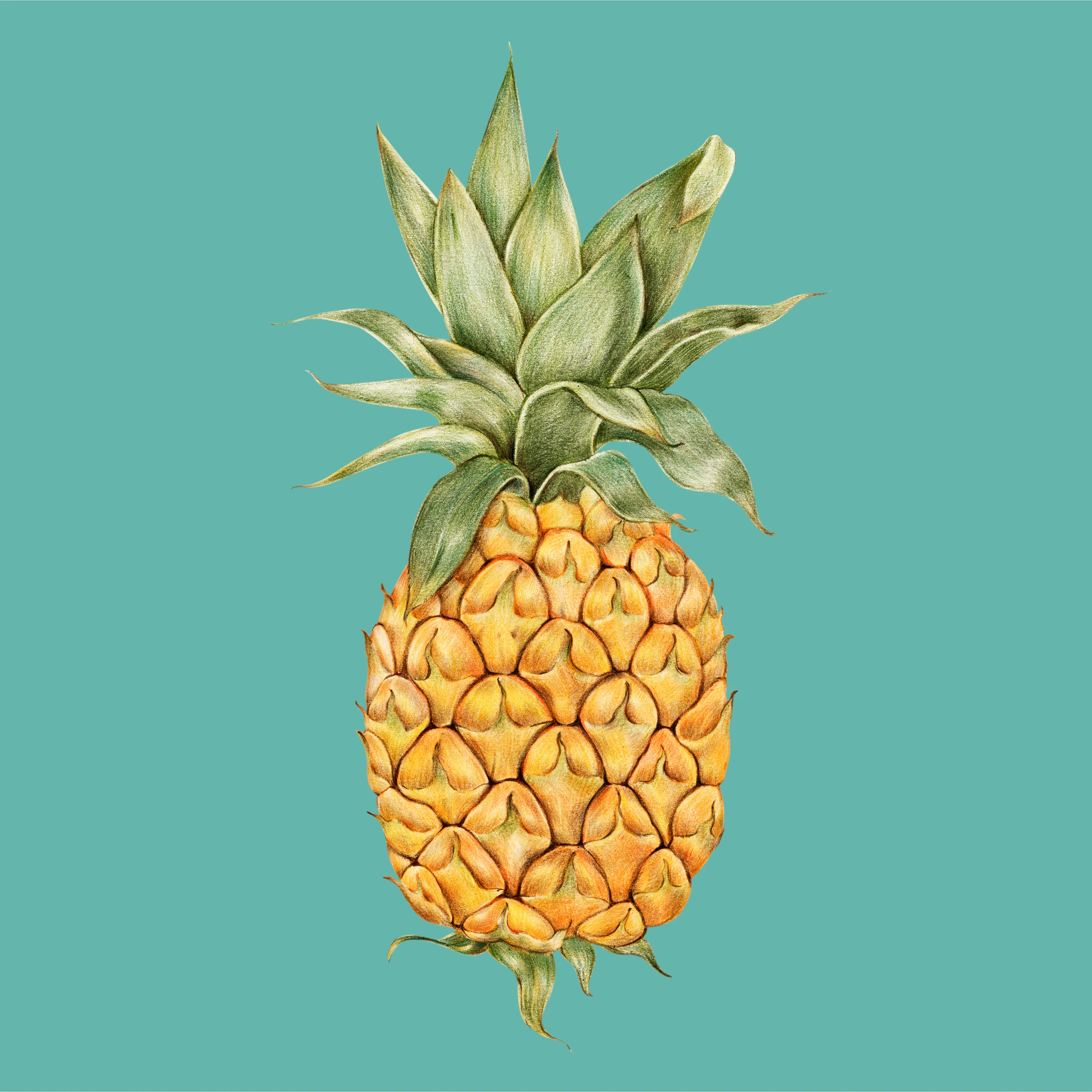 fruitss (212)