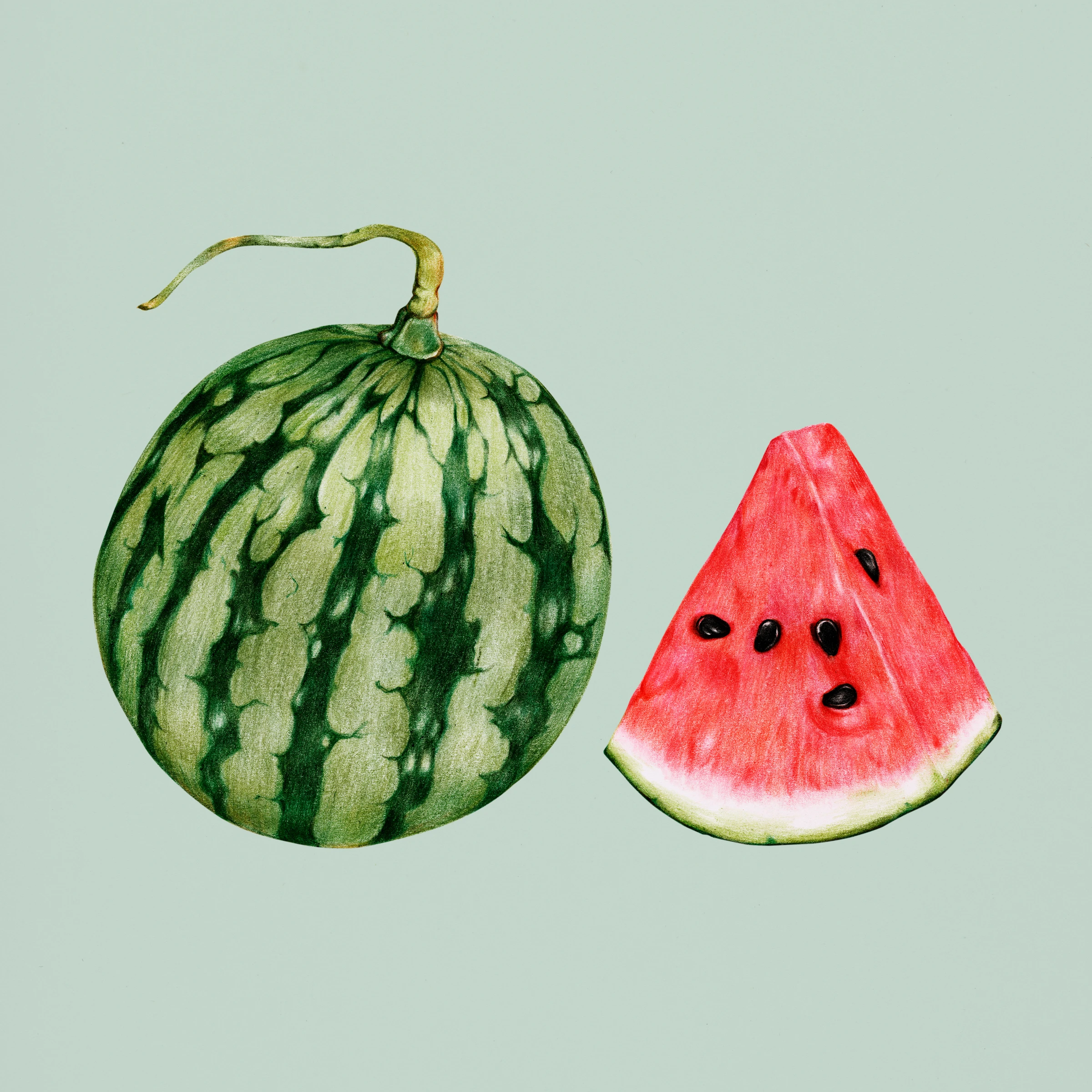fruitss (196)