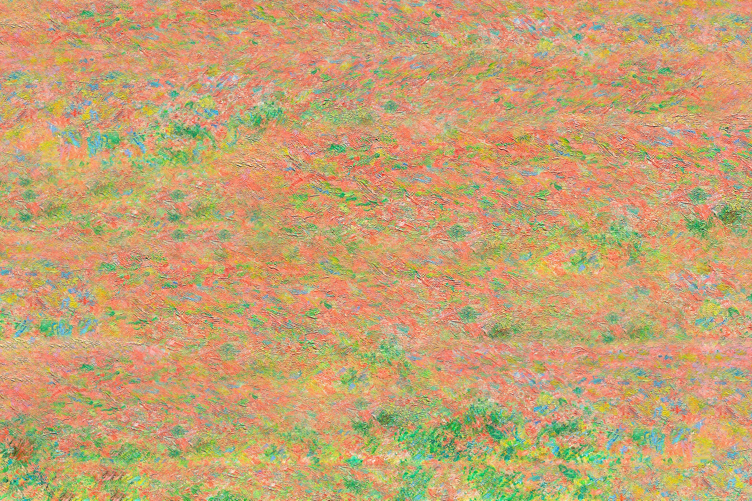 Monet (79)
