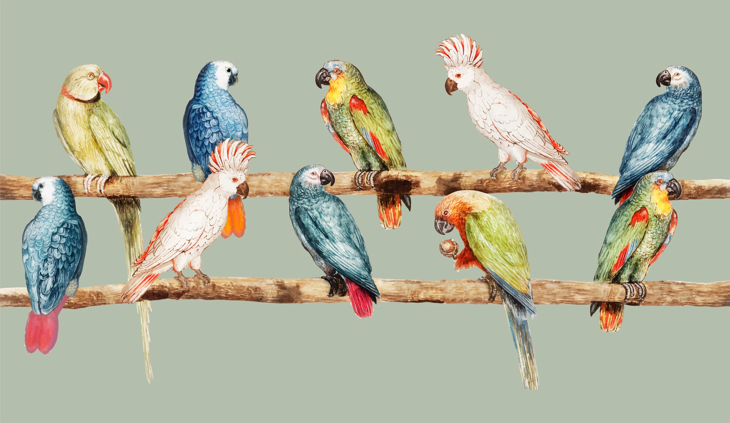 animals (301)