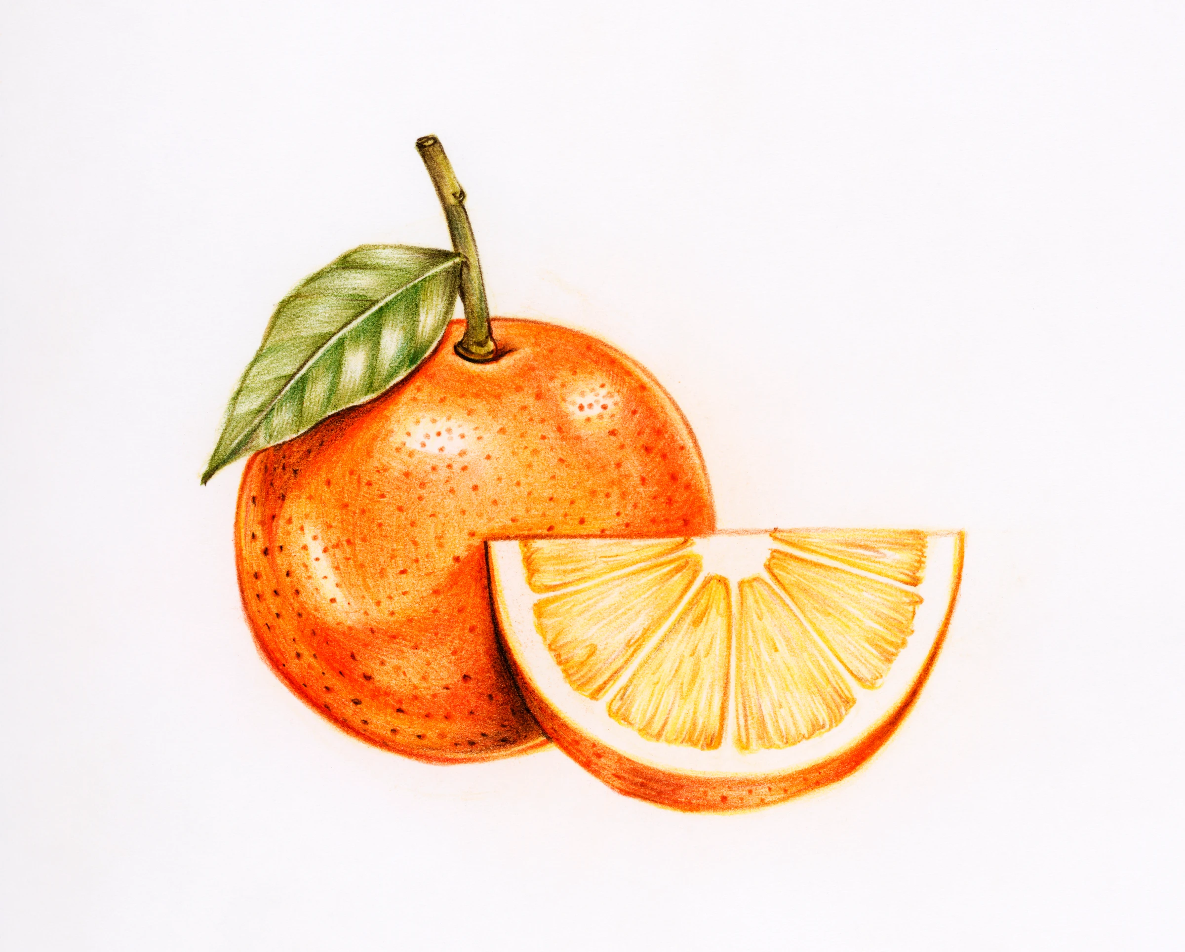 fruitss (207)