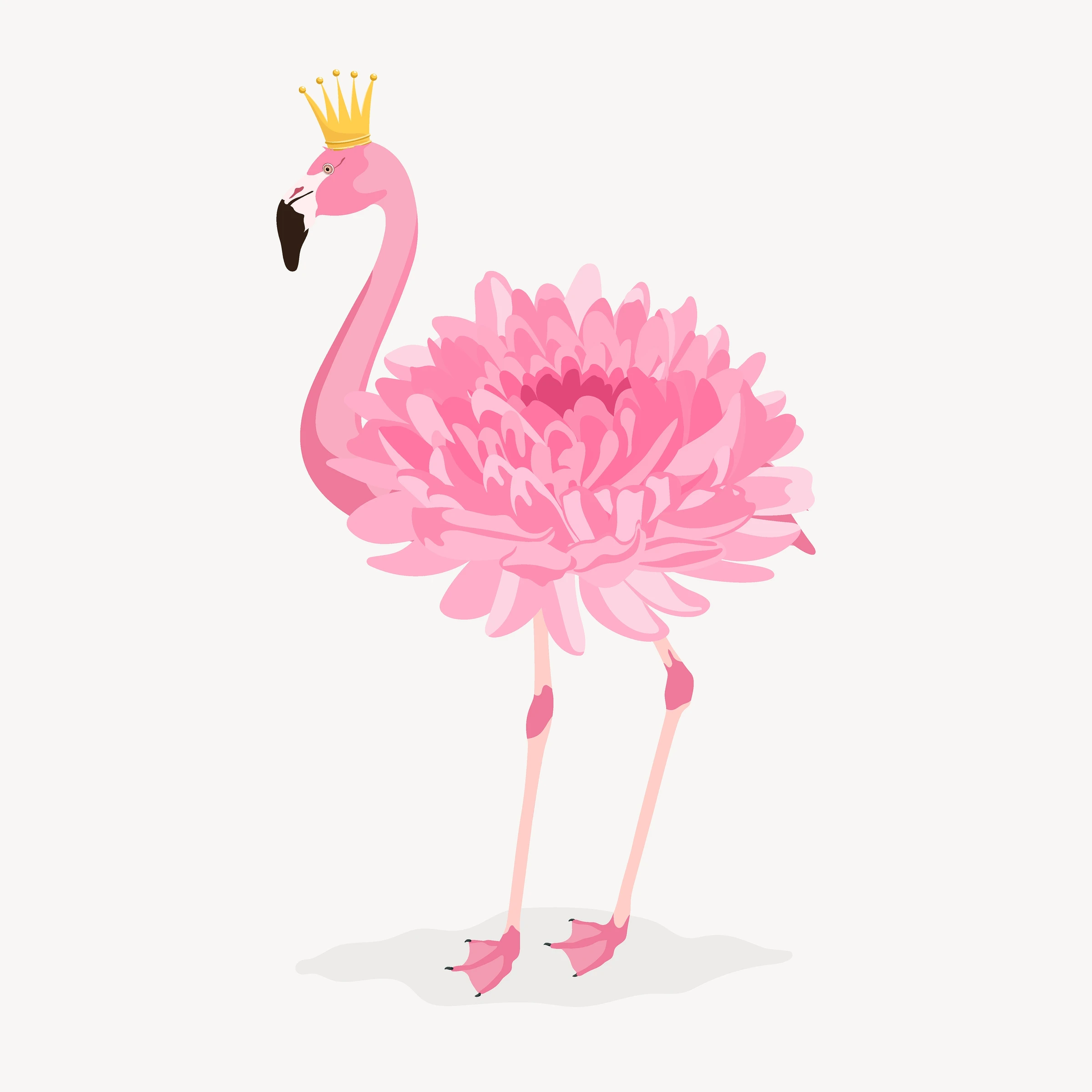 aanimals113