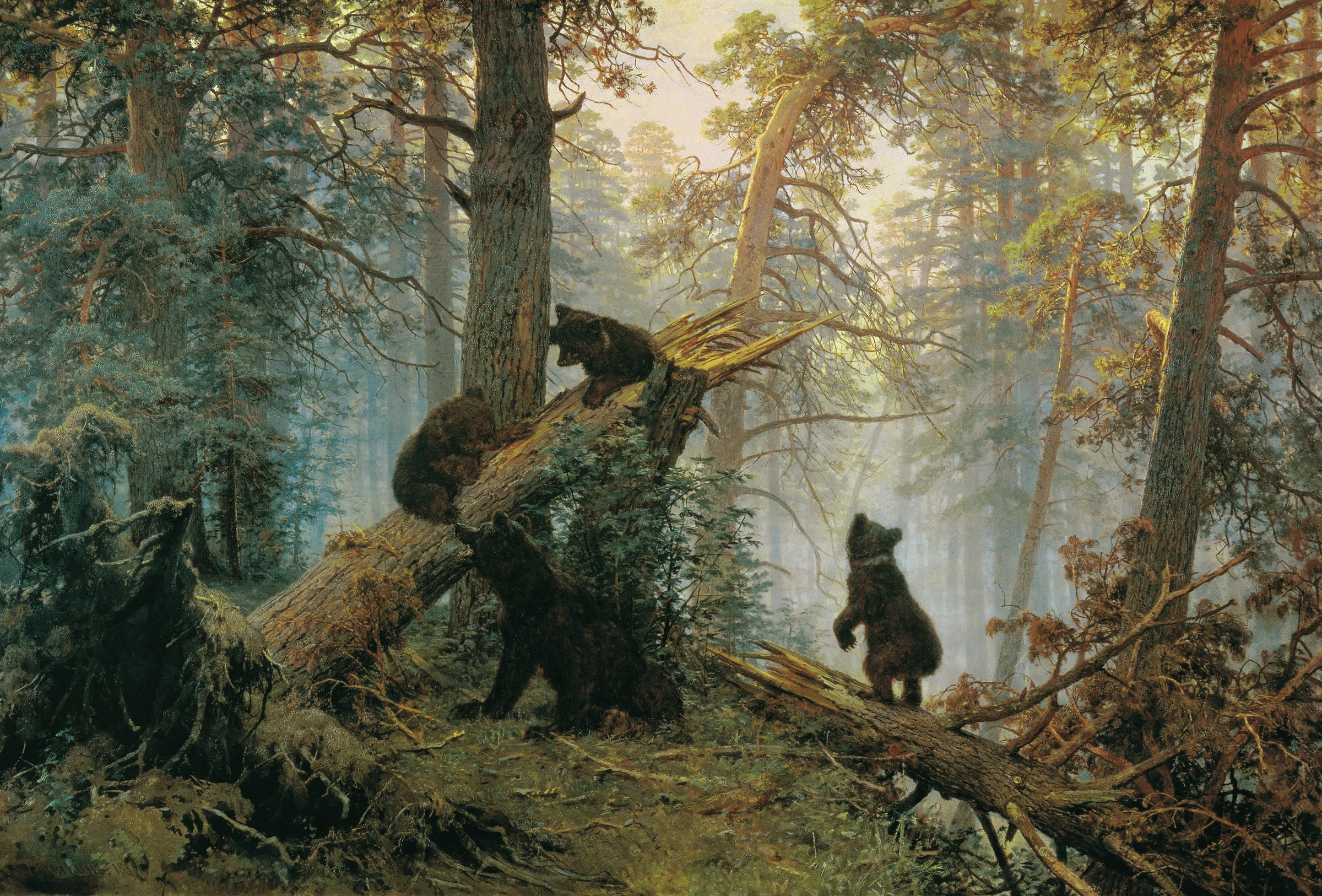 animals (81)