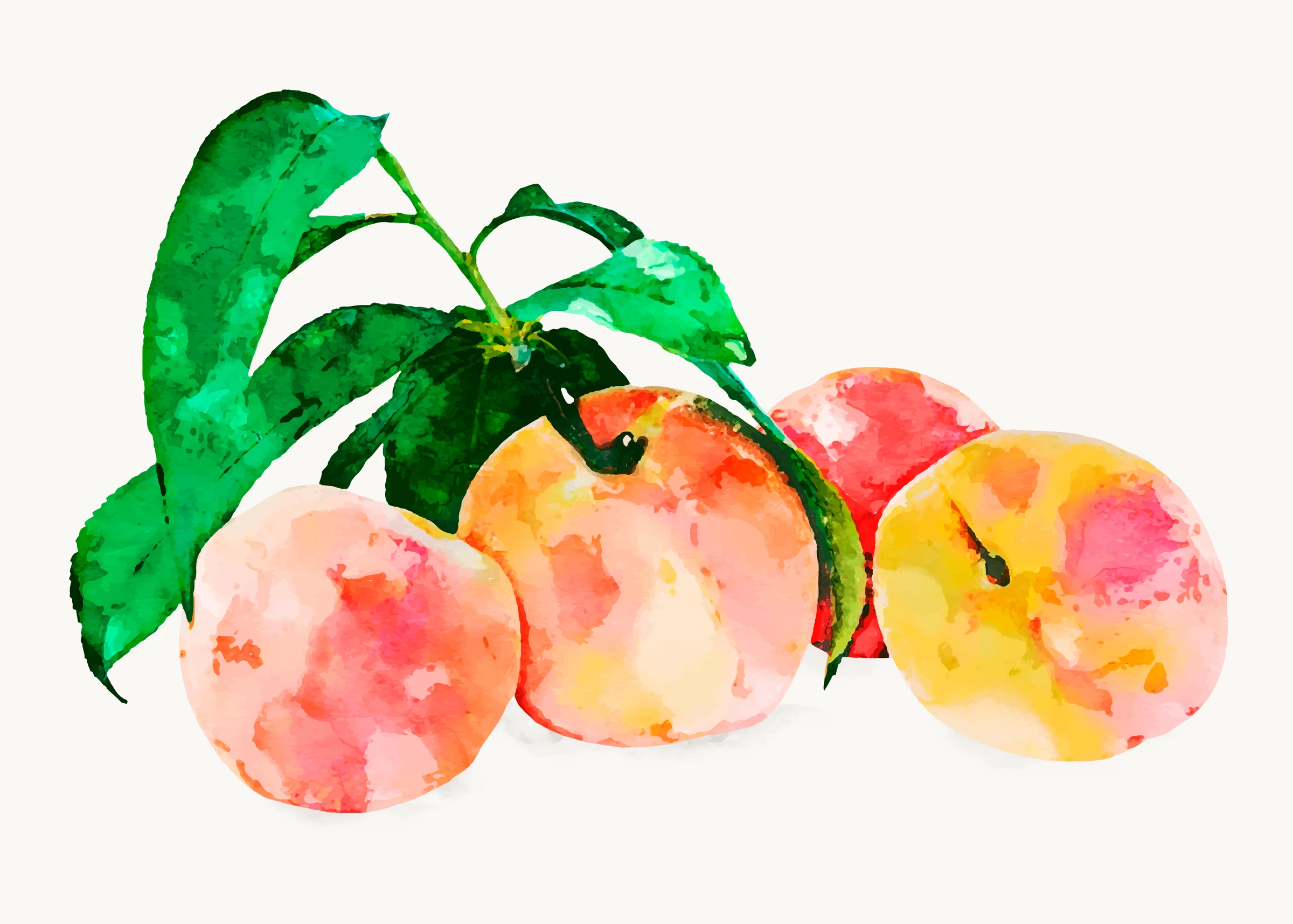 fruitss (123)