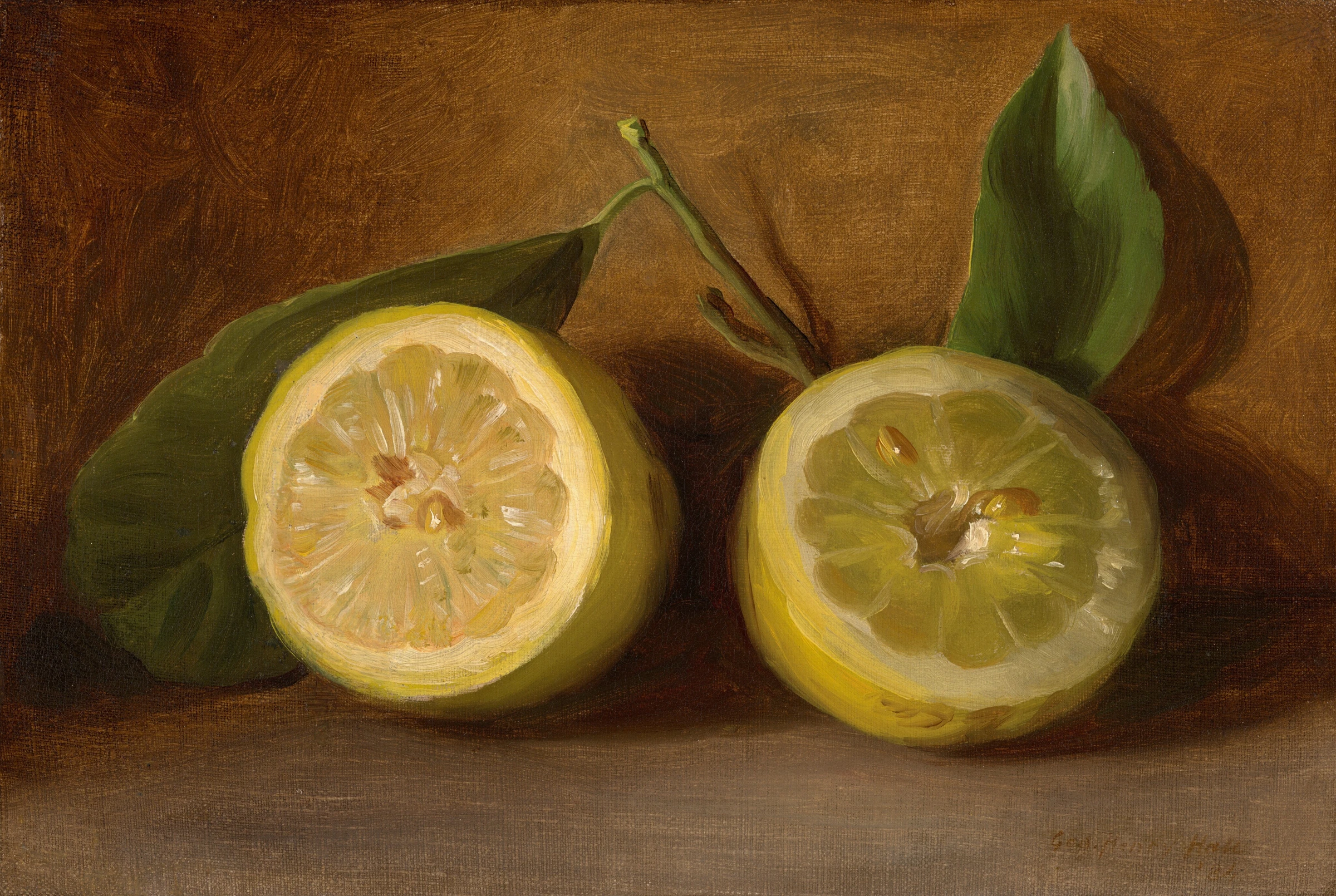Lemons 2018.44.10