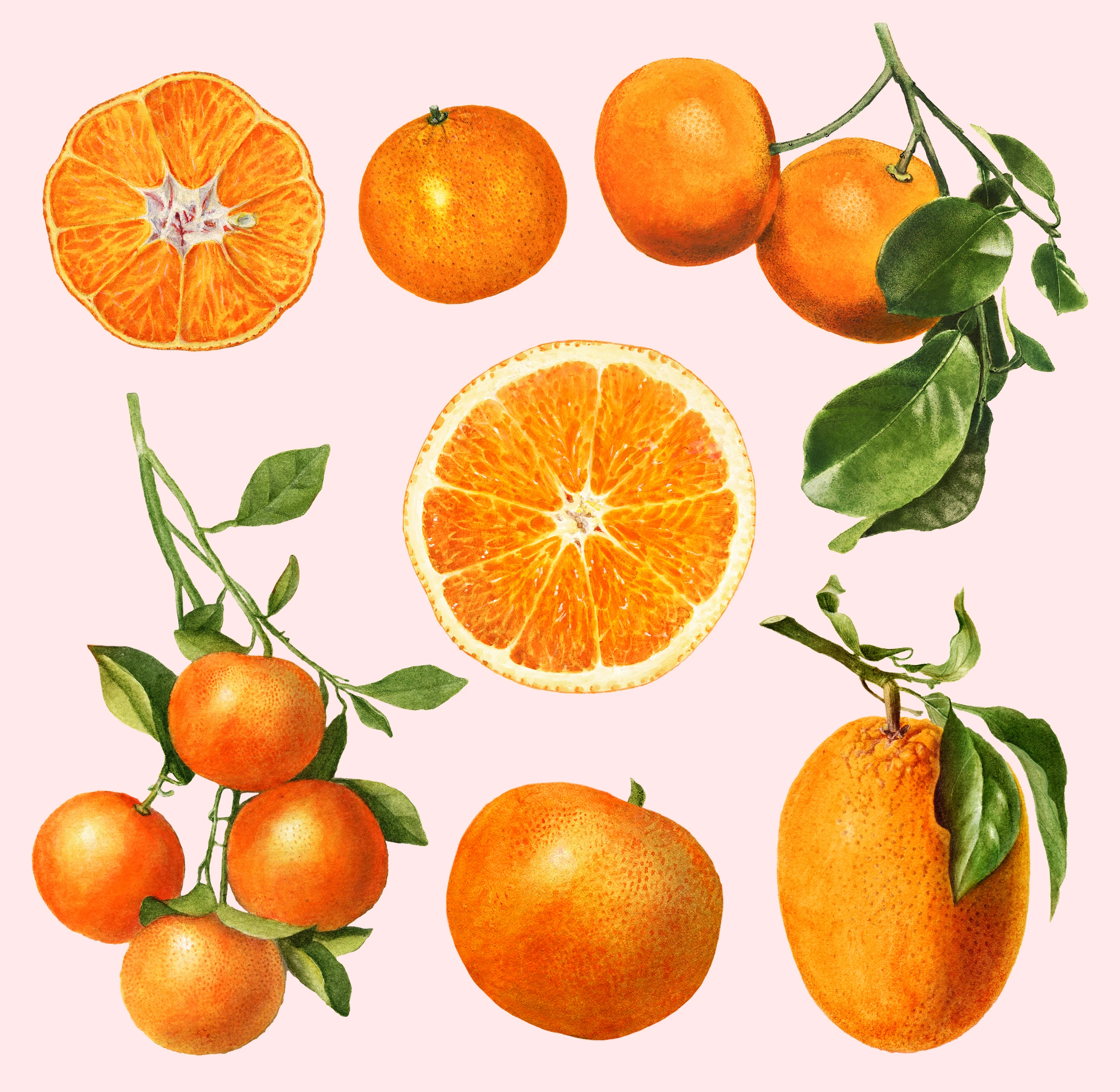 fruitss (1)