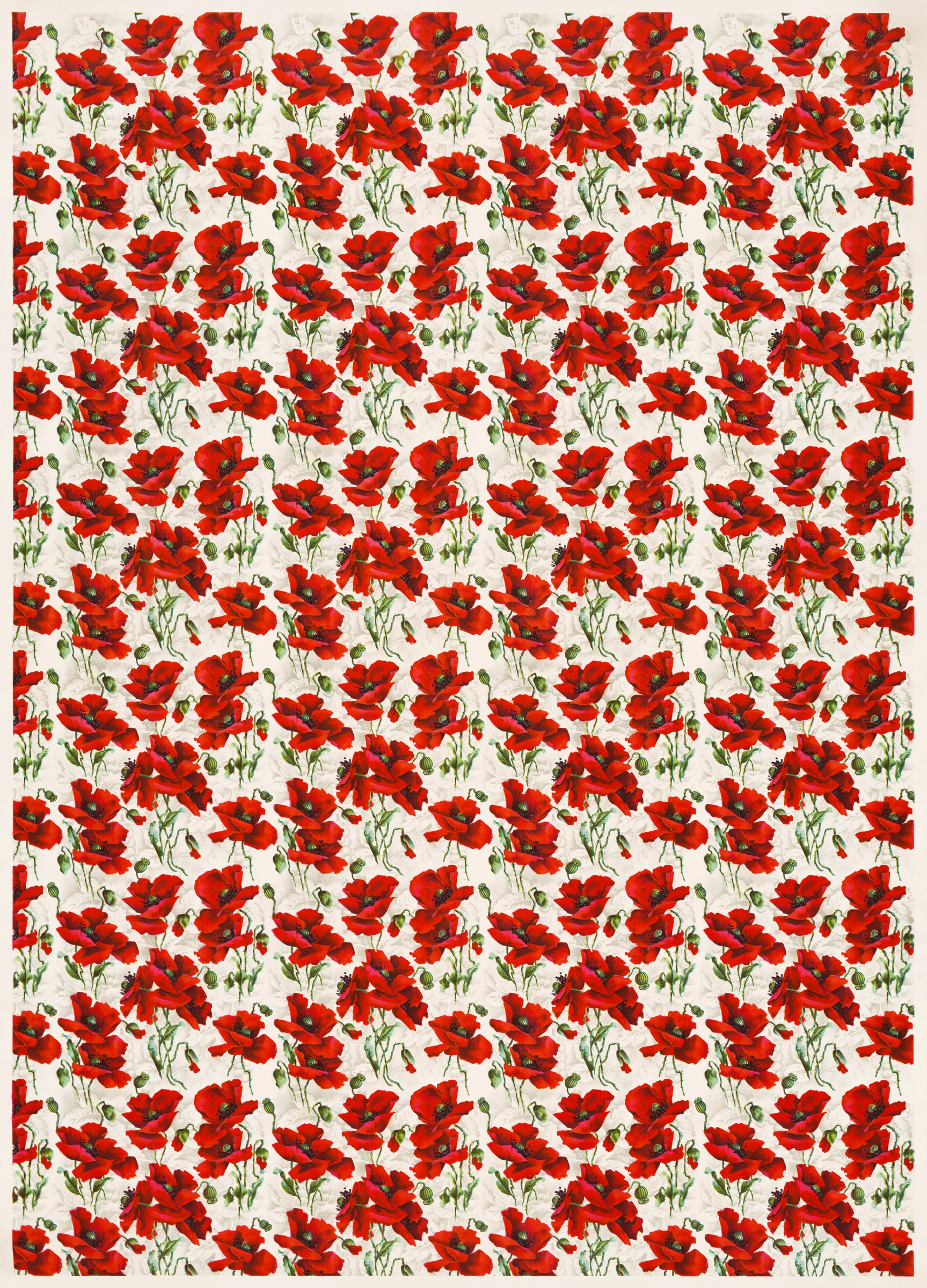 Trendy Prints (238)