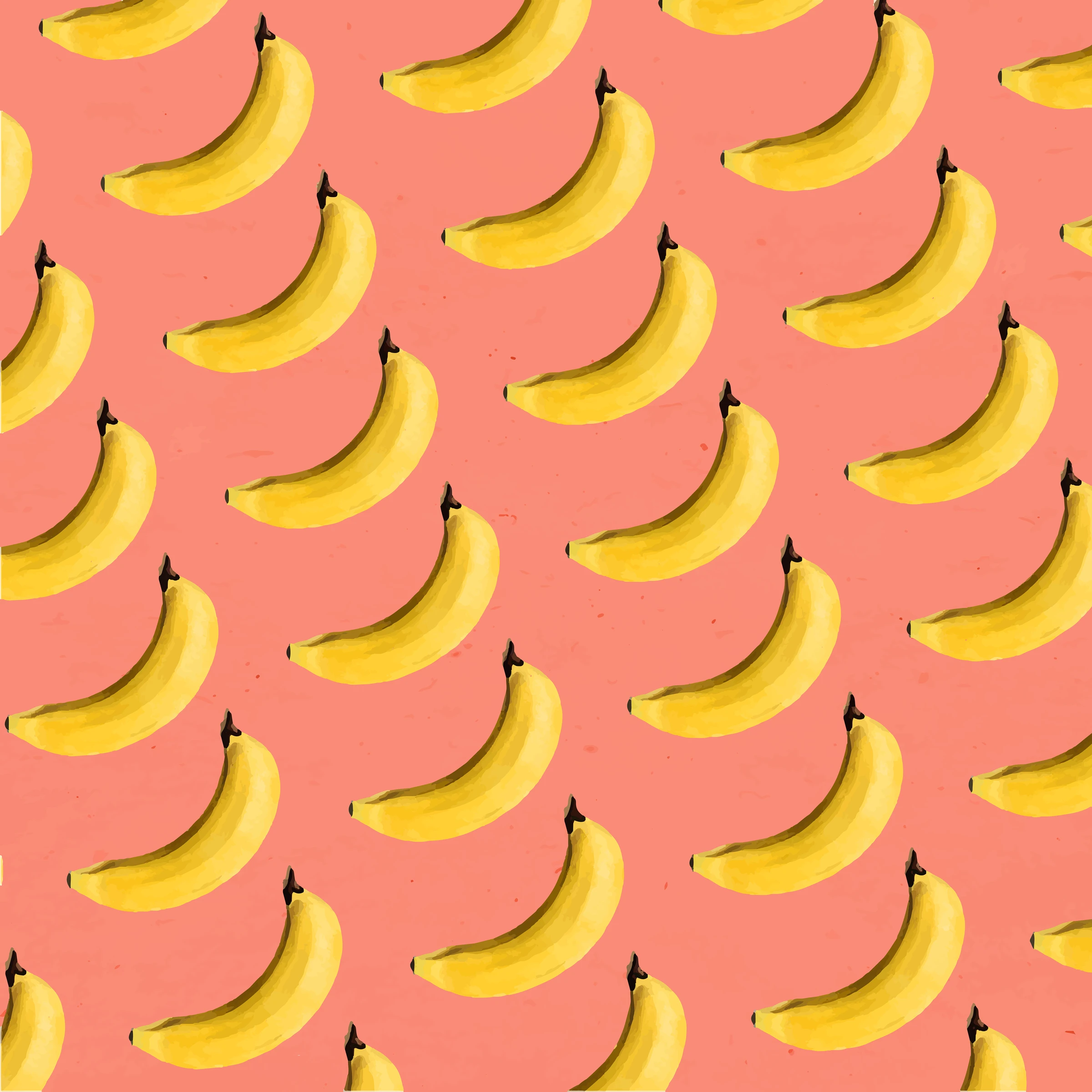 fruits506