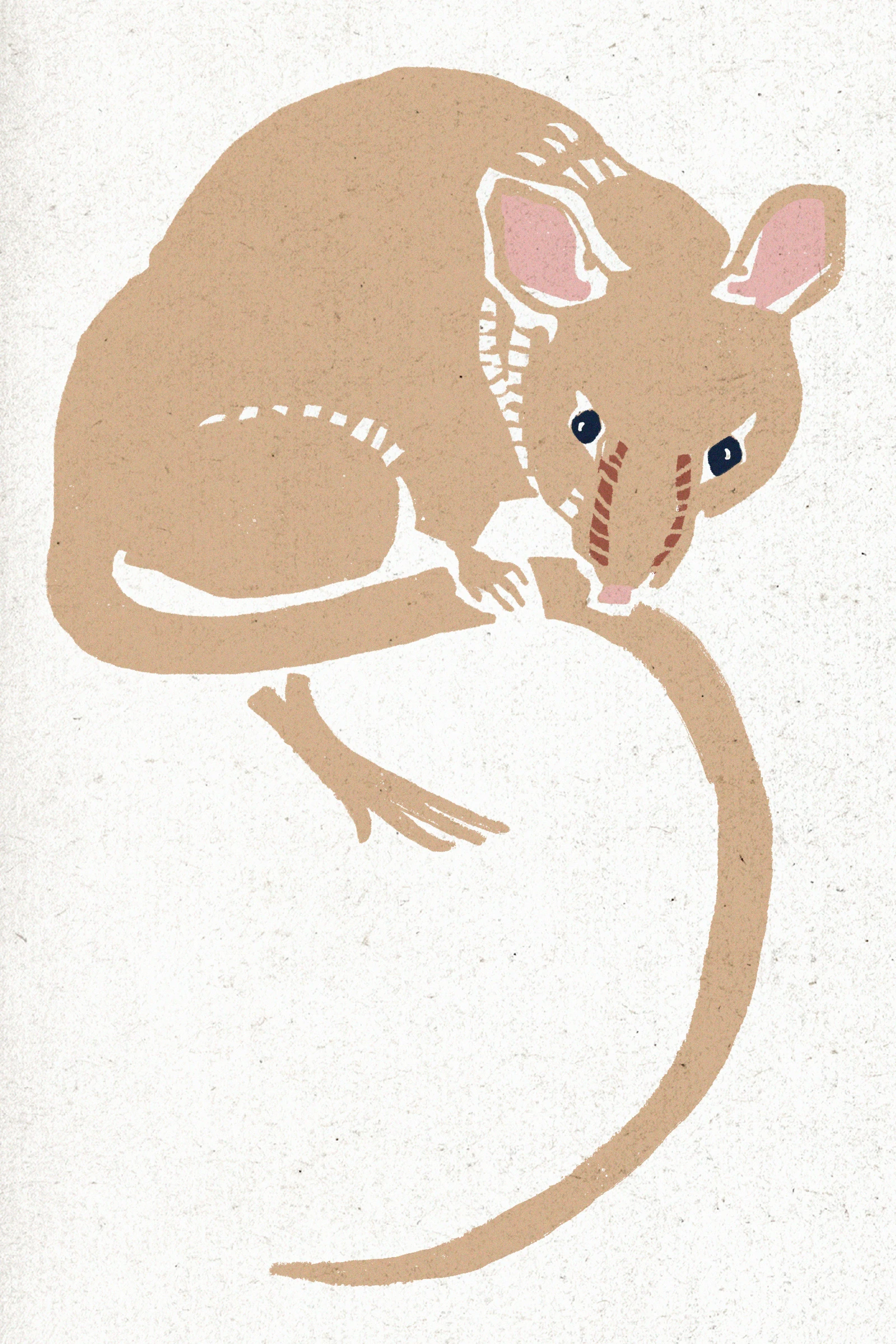 animals (415)