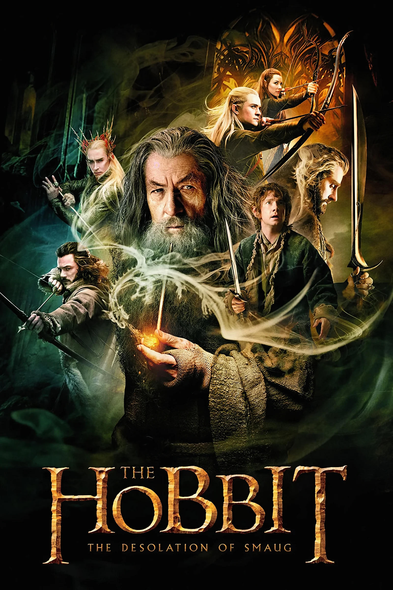 The Hobbit The Desolation of Smaug (2013)