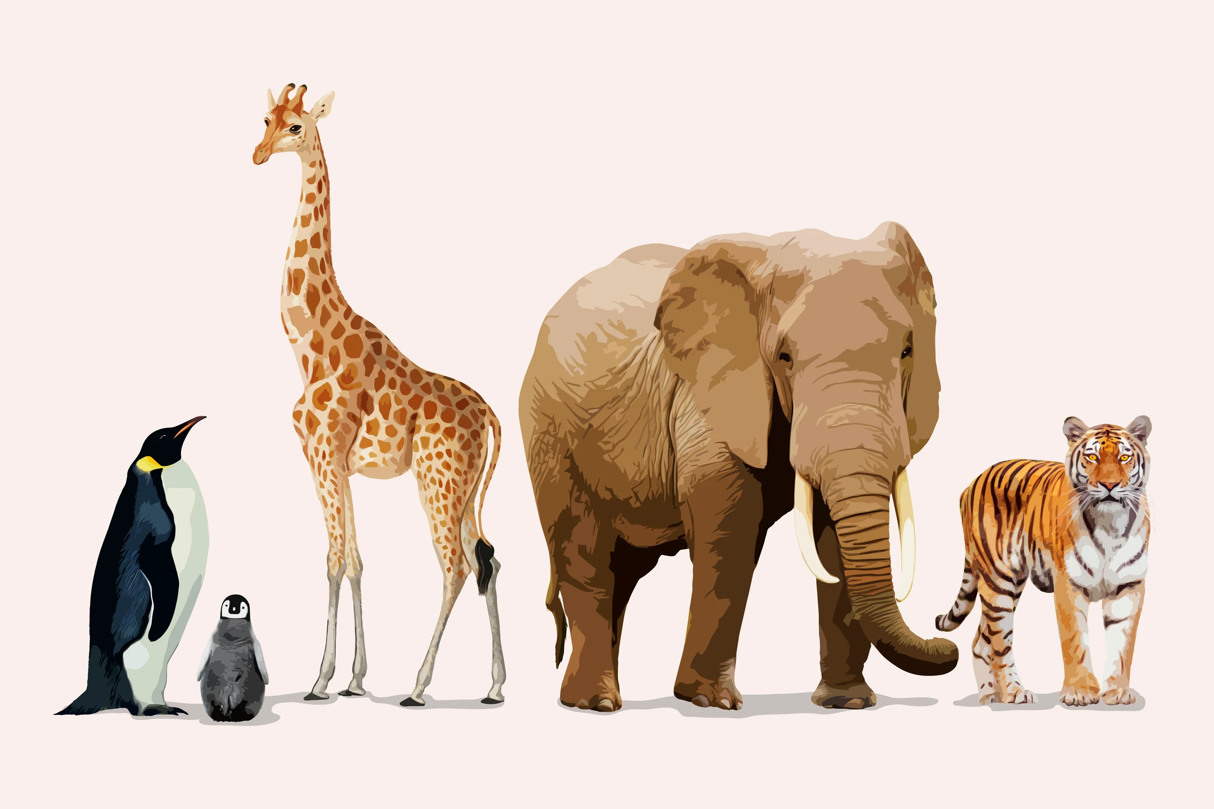 aanimals107