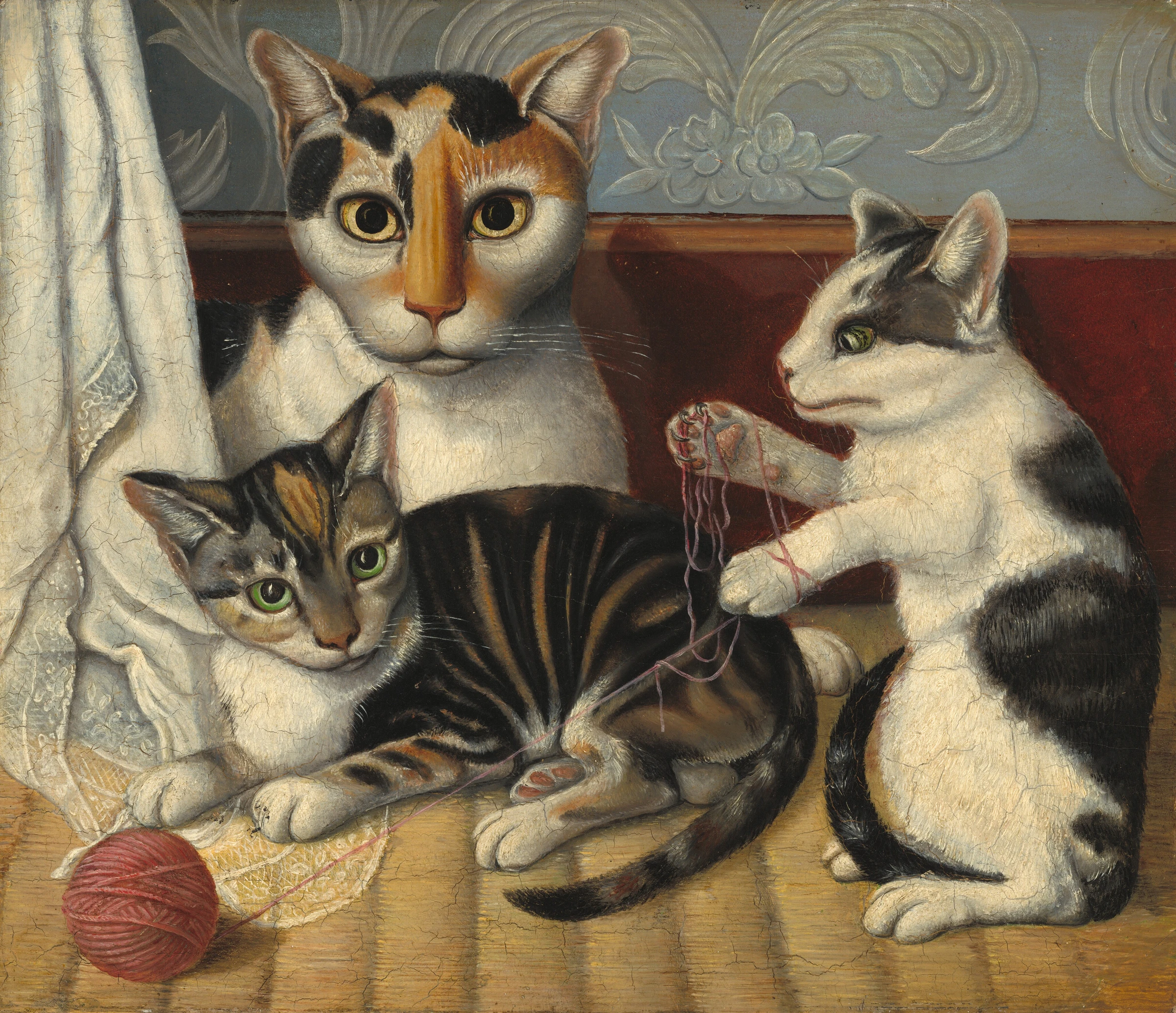 Cat And Kittens 1958.9.8