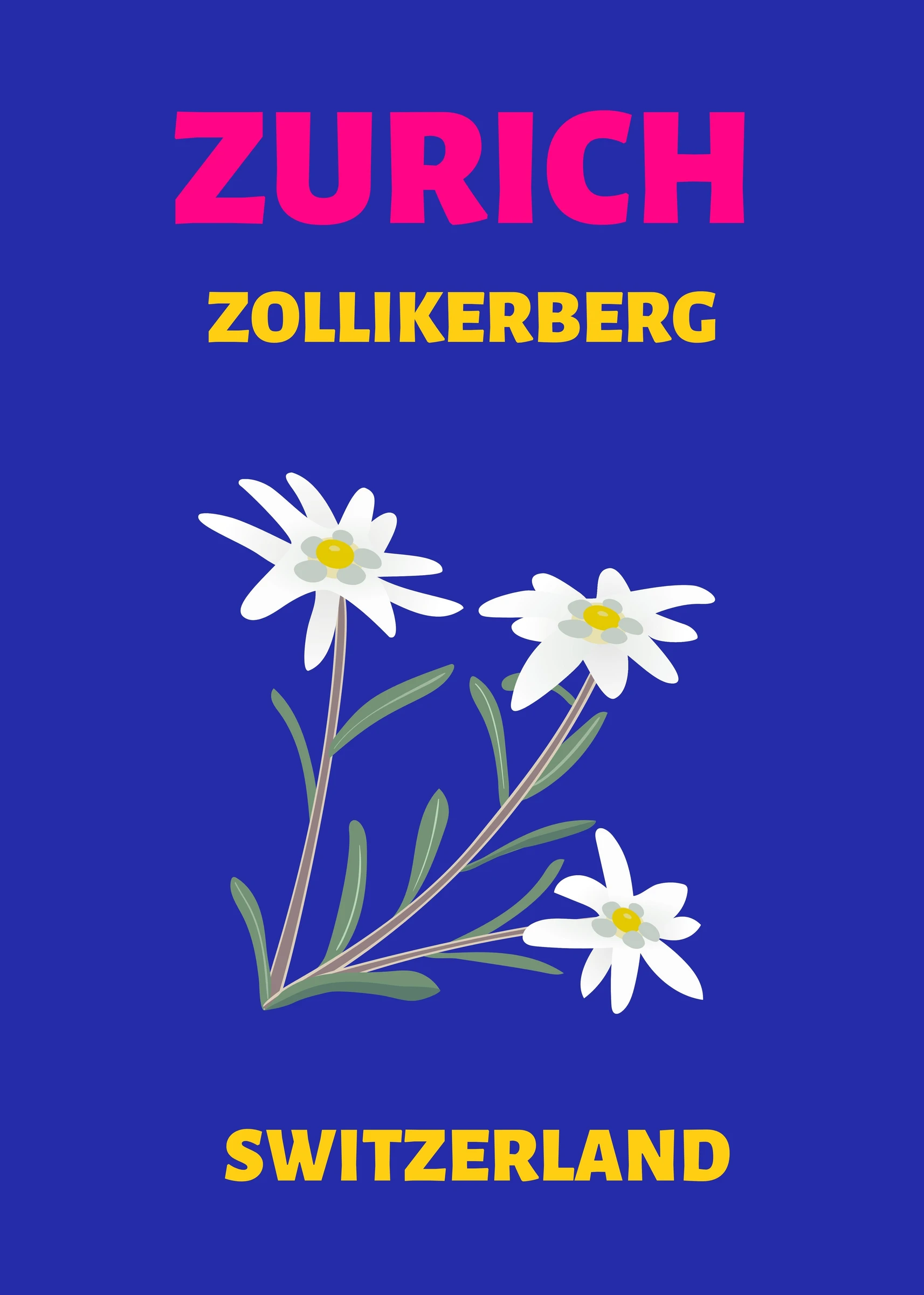 25 (1)