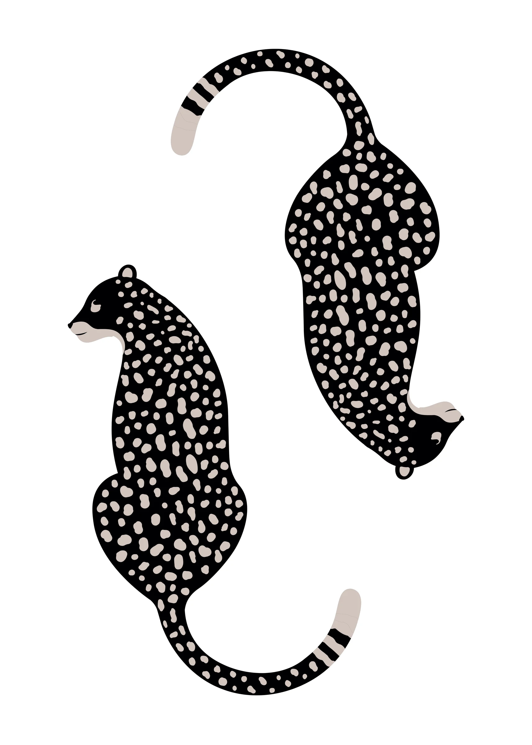 Trendy Prints (892)