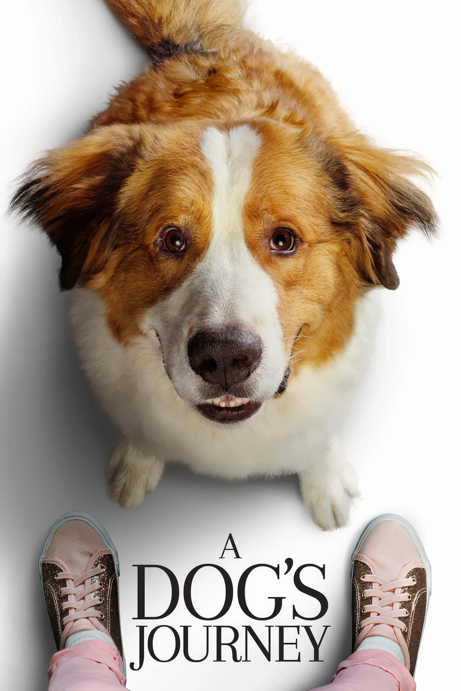 A Dog s Journey (2019)