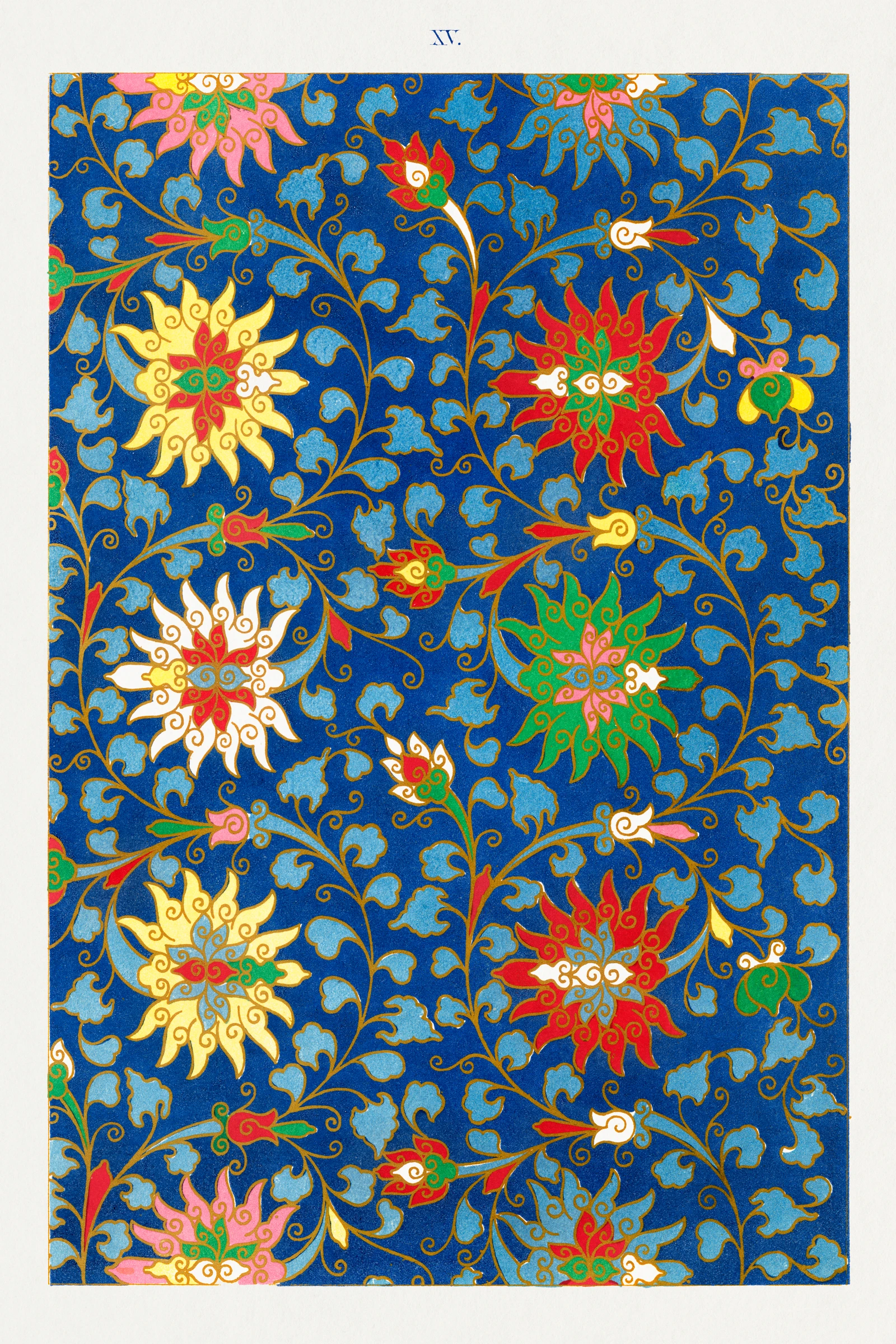 Trendy Prints (360)