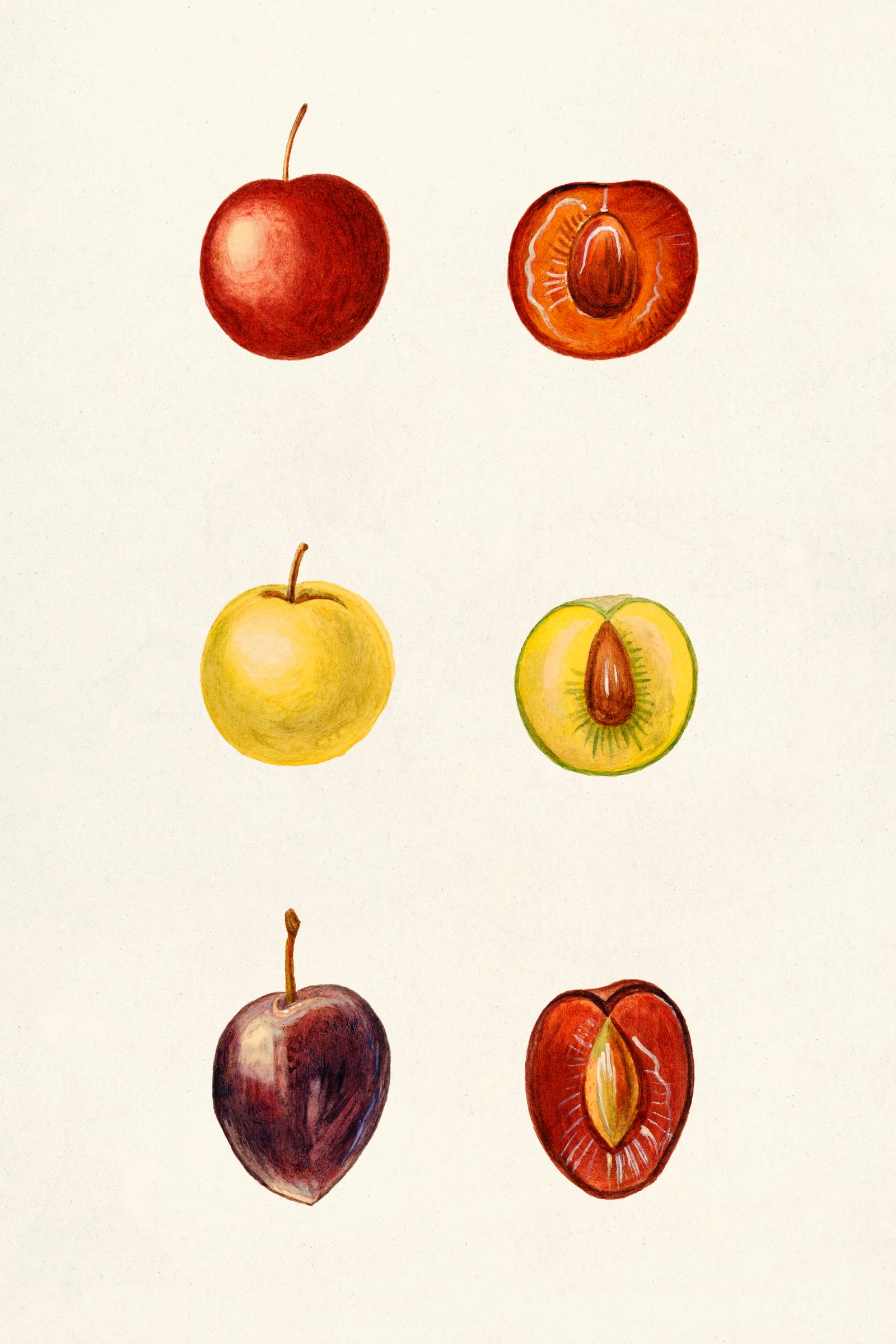 Kitchen print (65)