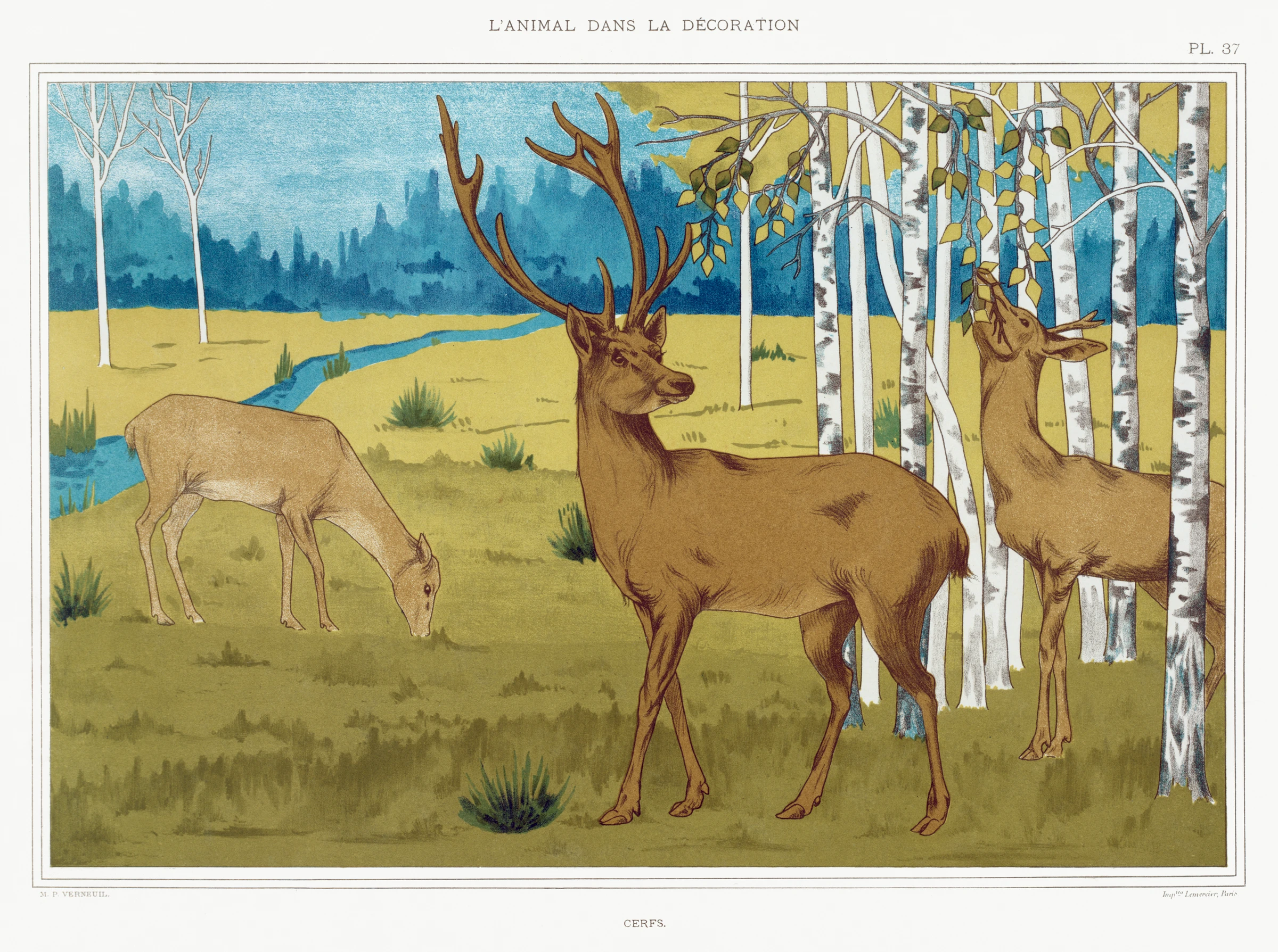 animals (308)
