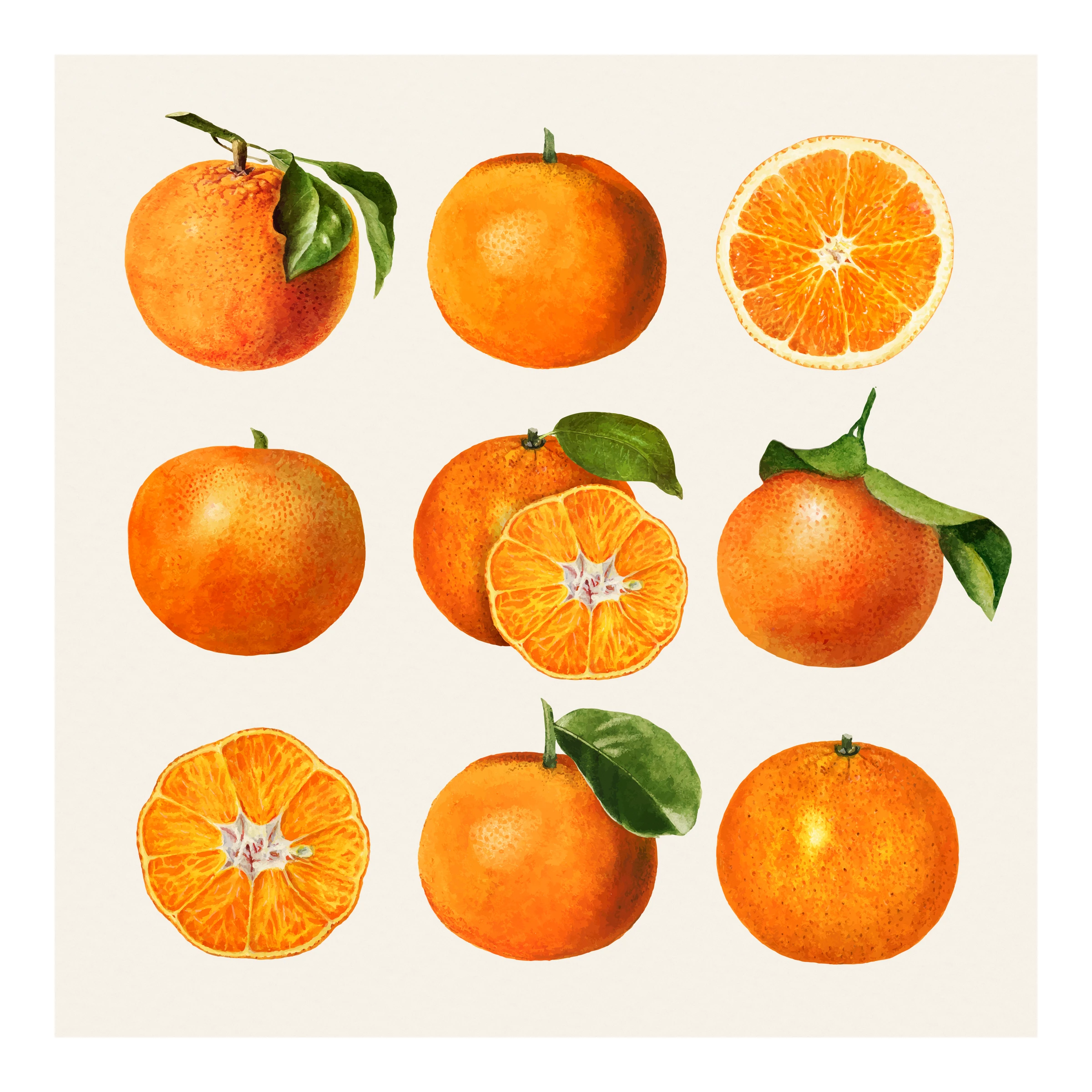 fruits515