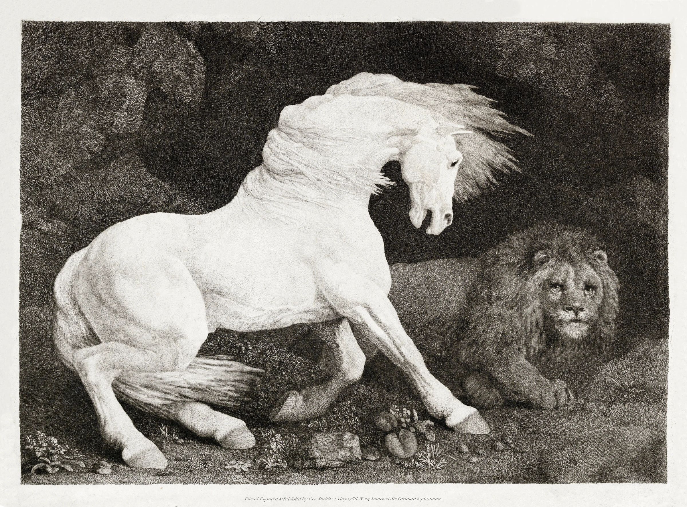 animals (15)
